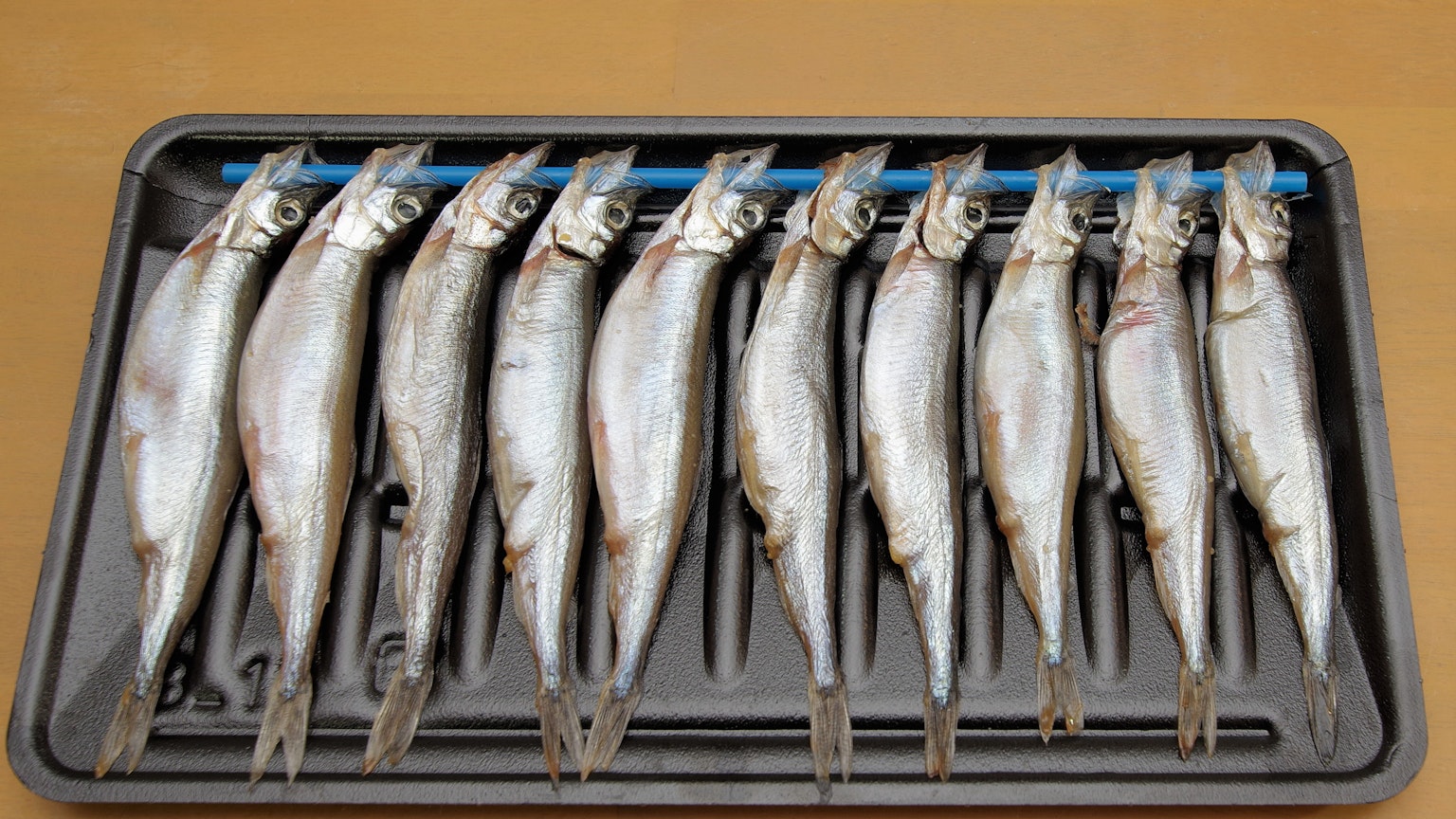 Una bandeja de peces frescos dispuestos en fila