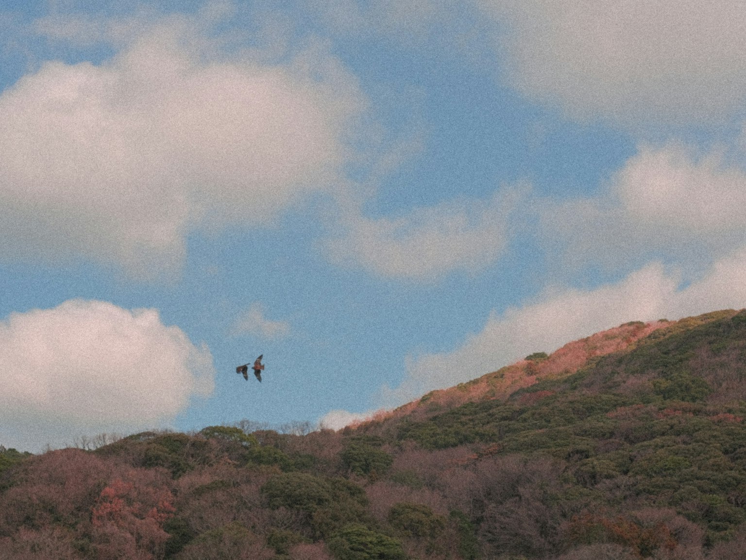 Dos parapentes volando sobre una montaña bajo un cielo azul con nubes