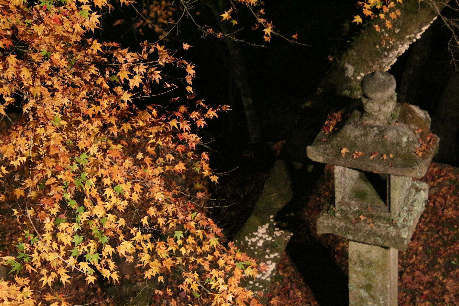 Stone lantern surrounded by autumn leaves