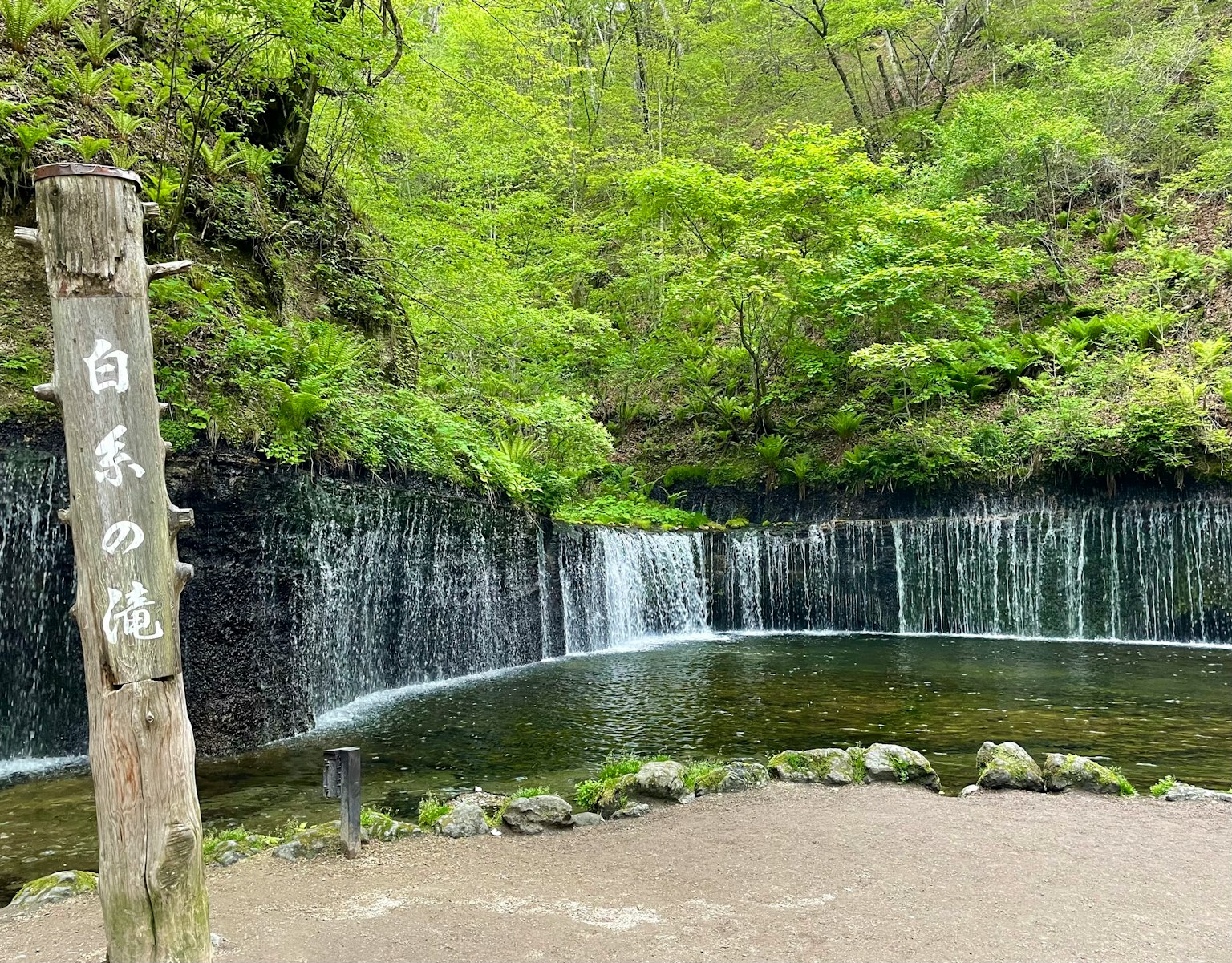 Scenic view of Shiraito Falls surrounded by lush greenery and gentle water flow