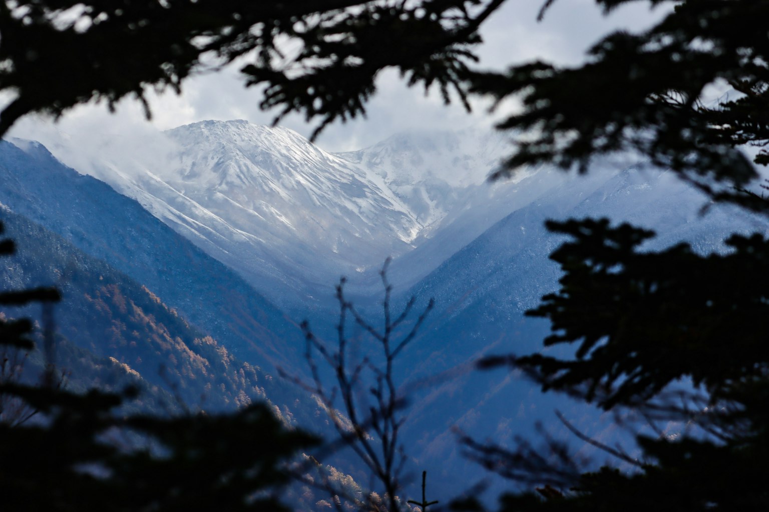 透過樹木看到的被霧籠罩的雪山風景