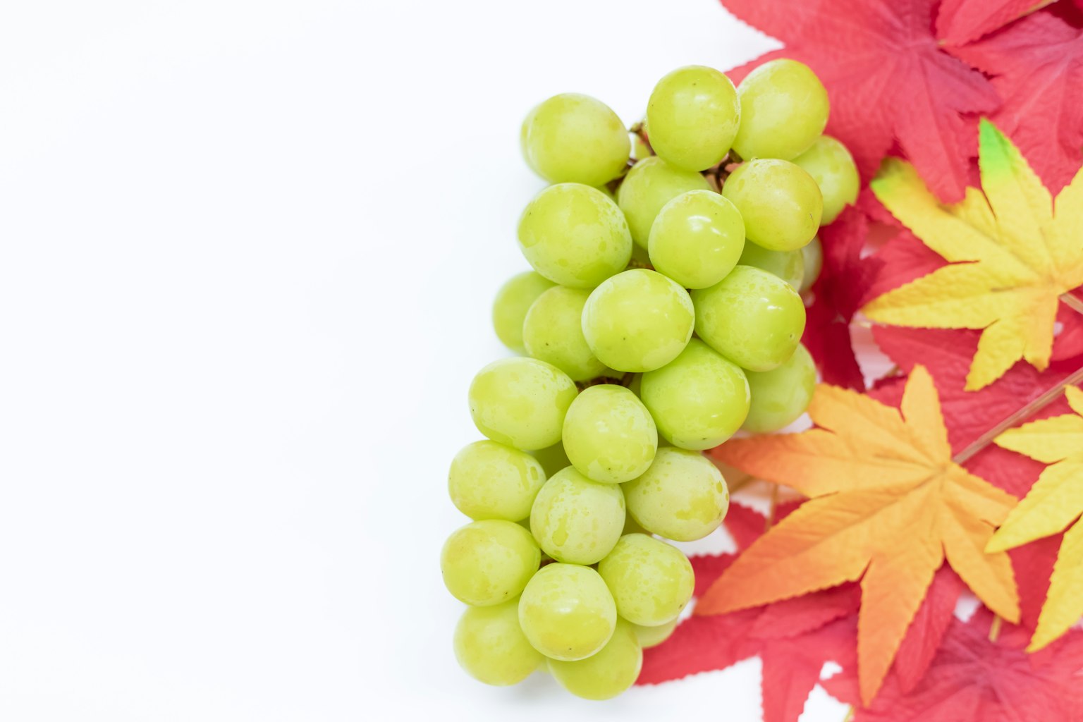 Une grappe de raisins verts avec des feuilles d'automne rouges vives