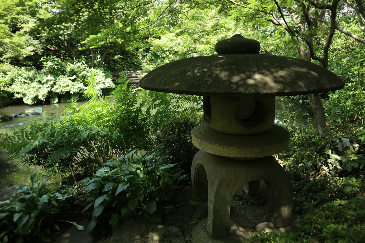 Lanterne en pierre dans un jardin japonais serein entouré de verdure luxuriante