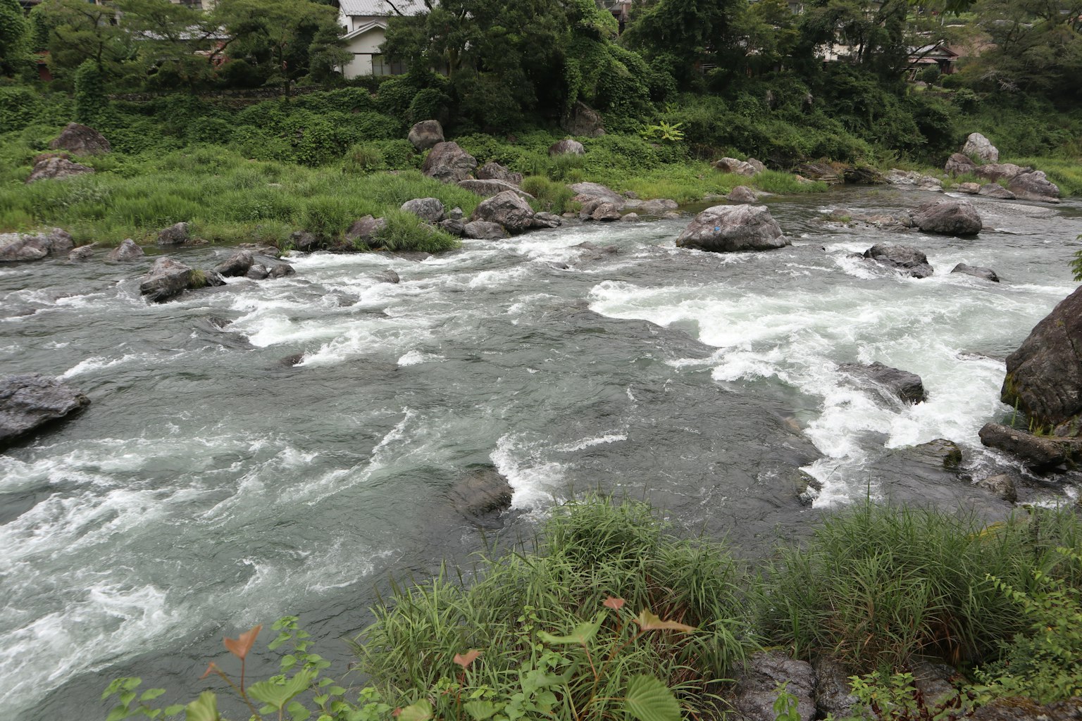 一條被綠色草坪和岩石環繞的流動河流