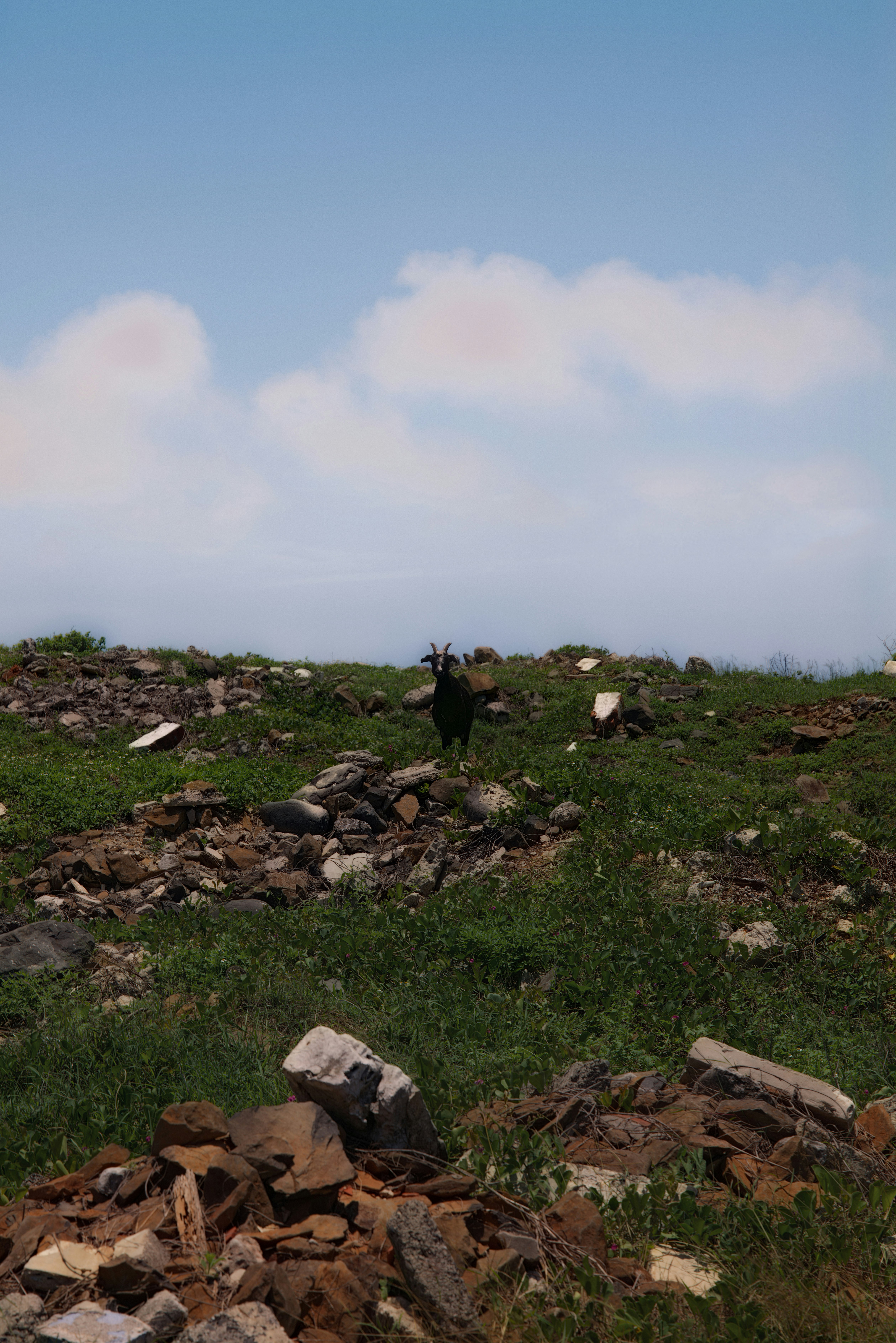 photo-gWHbgeywPCyB1IZnS5ad-image