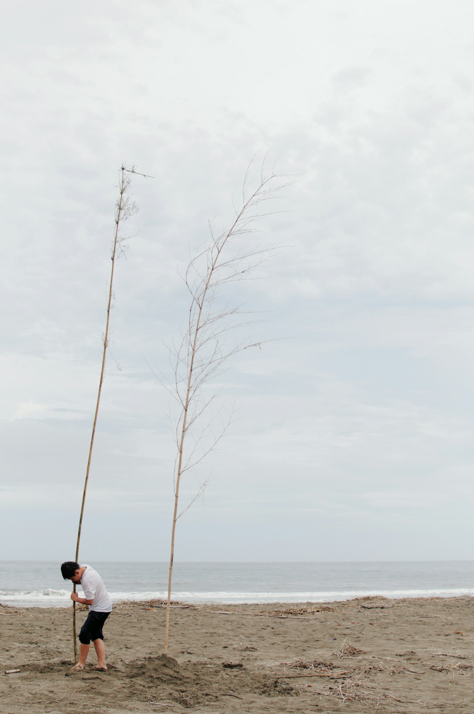 ビーチで長い棒を持つ人物と海の景色