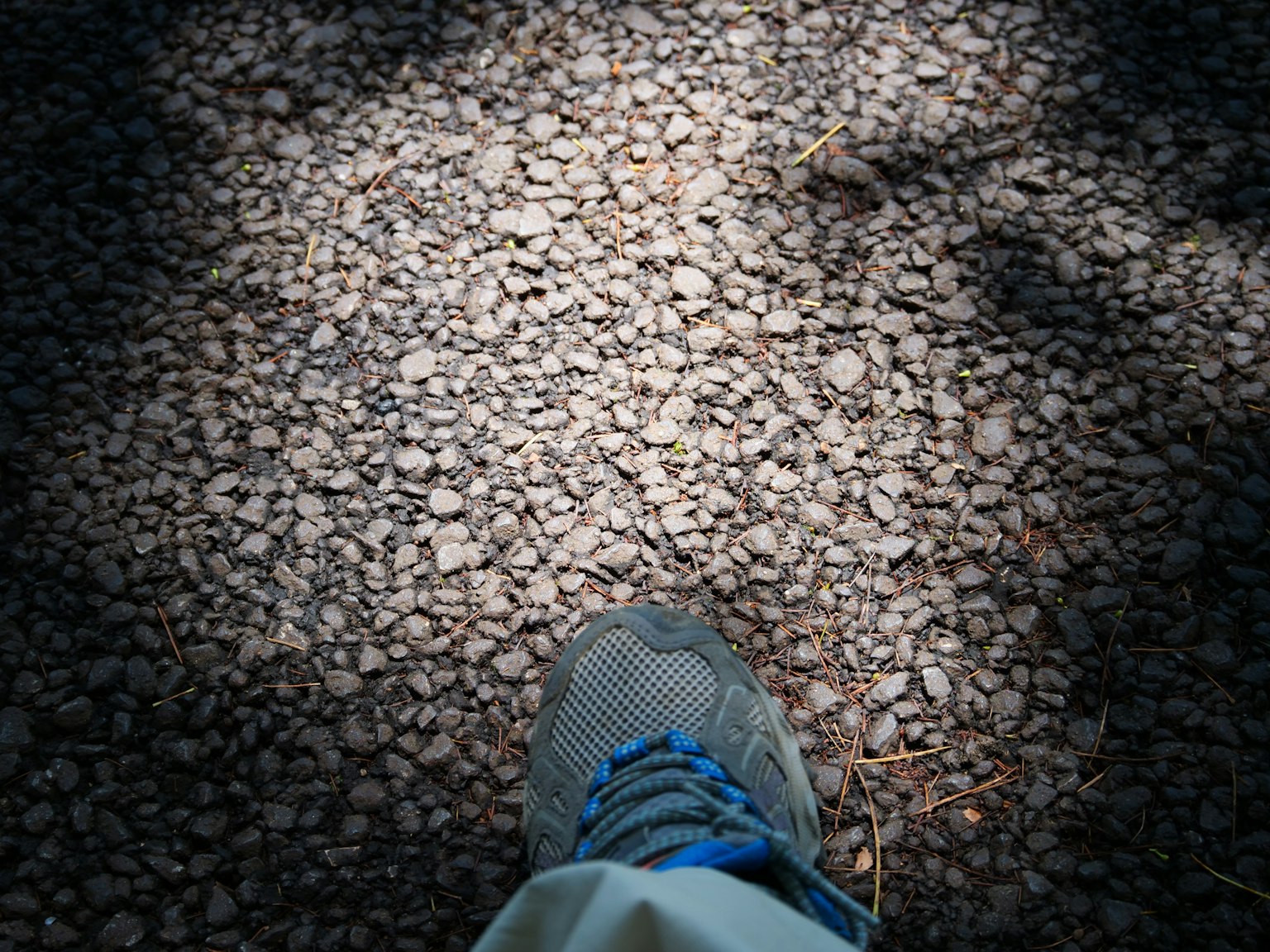 Gray sneaker on a gravel path with sunlight and shadows