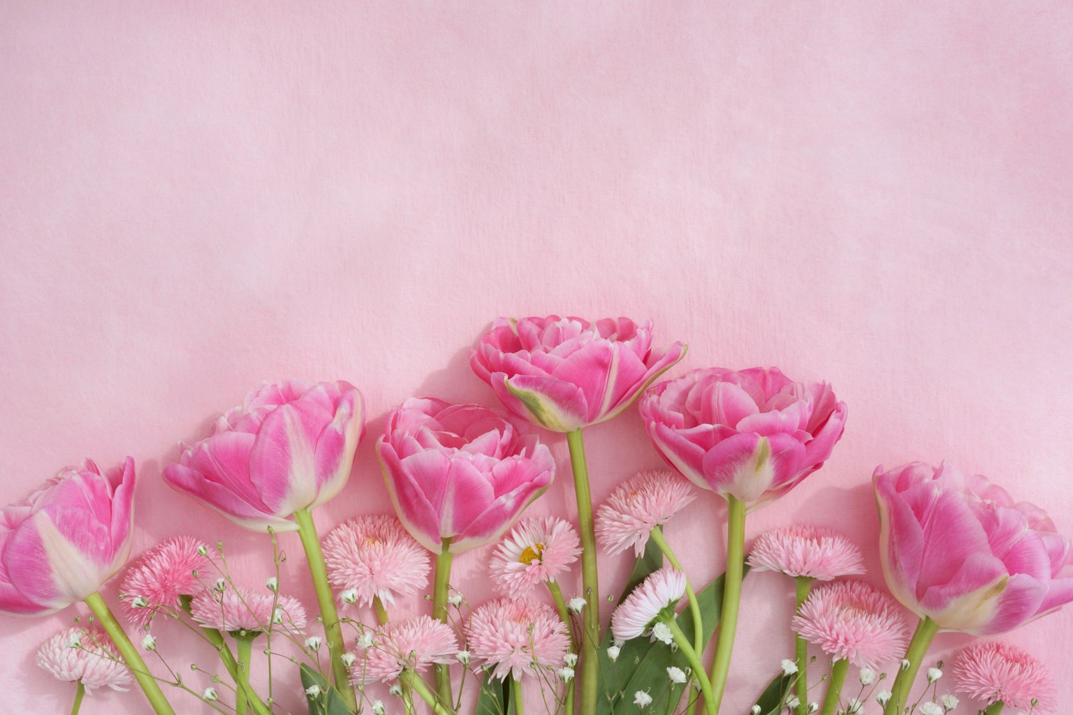 粉紅色背景上的粉紅玫瑰和小花