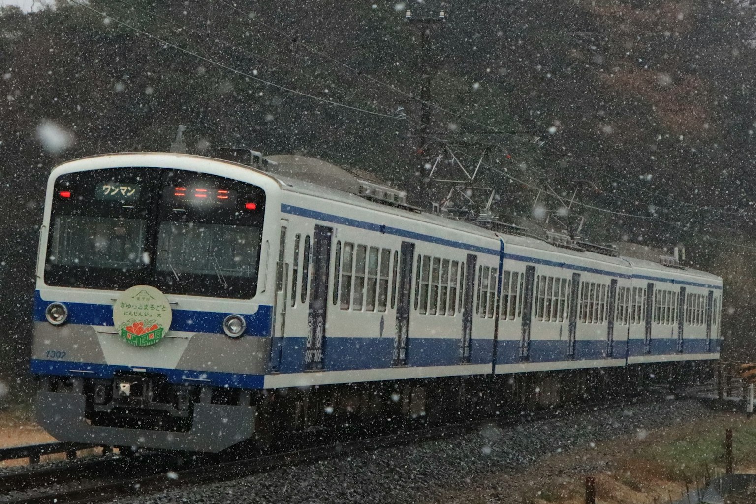 在雪中行駛的藍白列車