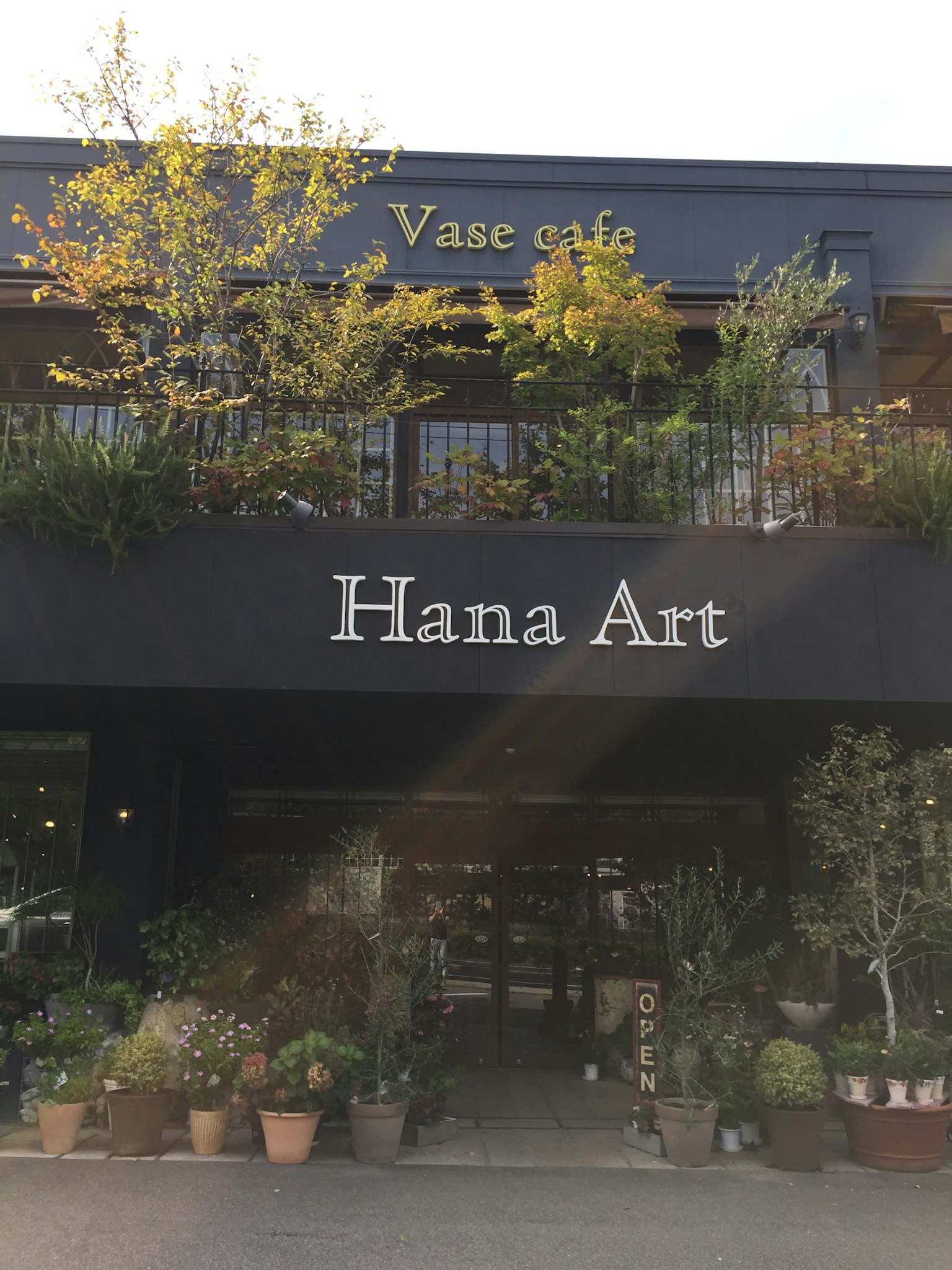 ด้านนอกของ Hana Art มีพืชพรรณเขียวขจีและกระถางจำนวนมาก พร้อมป้าย Vase cafe