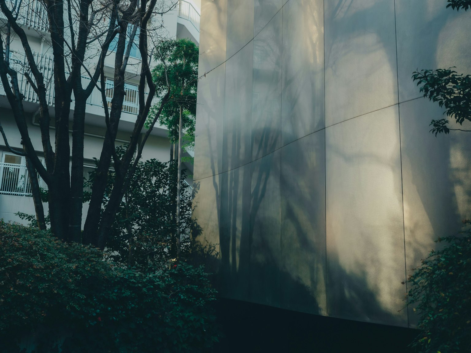 Mur d'un bâtiment moderne reflétant des ombres d'arbres avec de la verdure