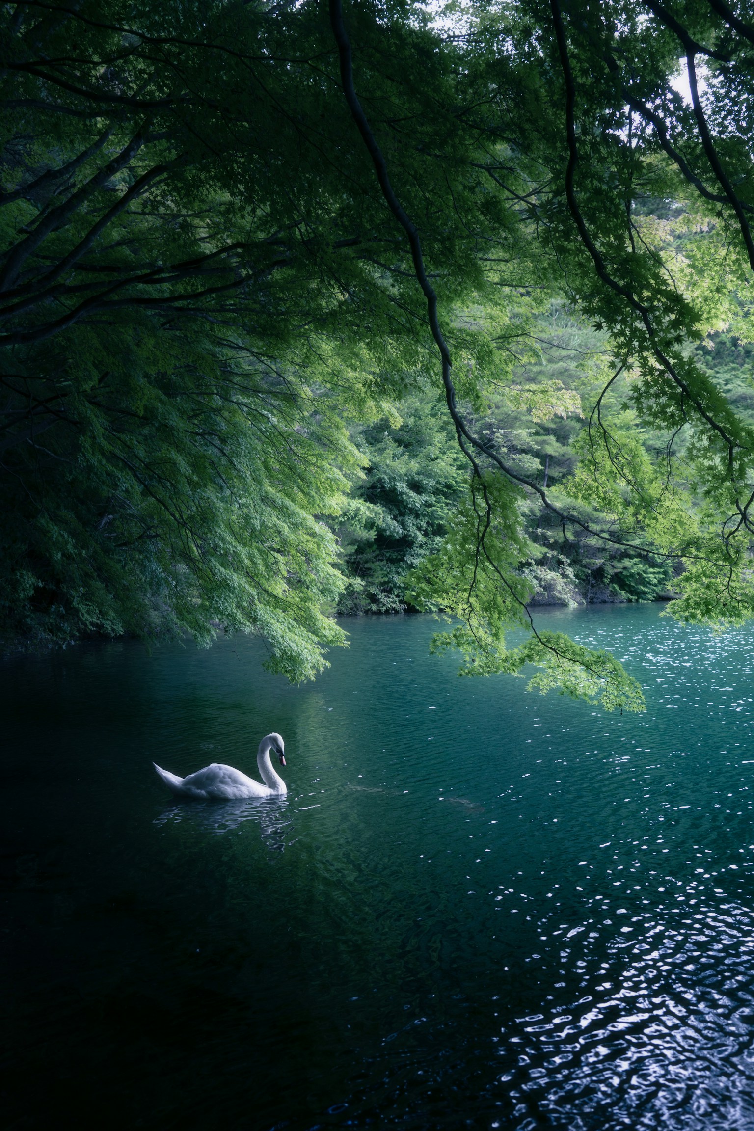 photo-gXaqK7ox3Q08hY6sEhUd-image