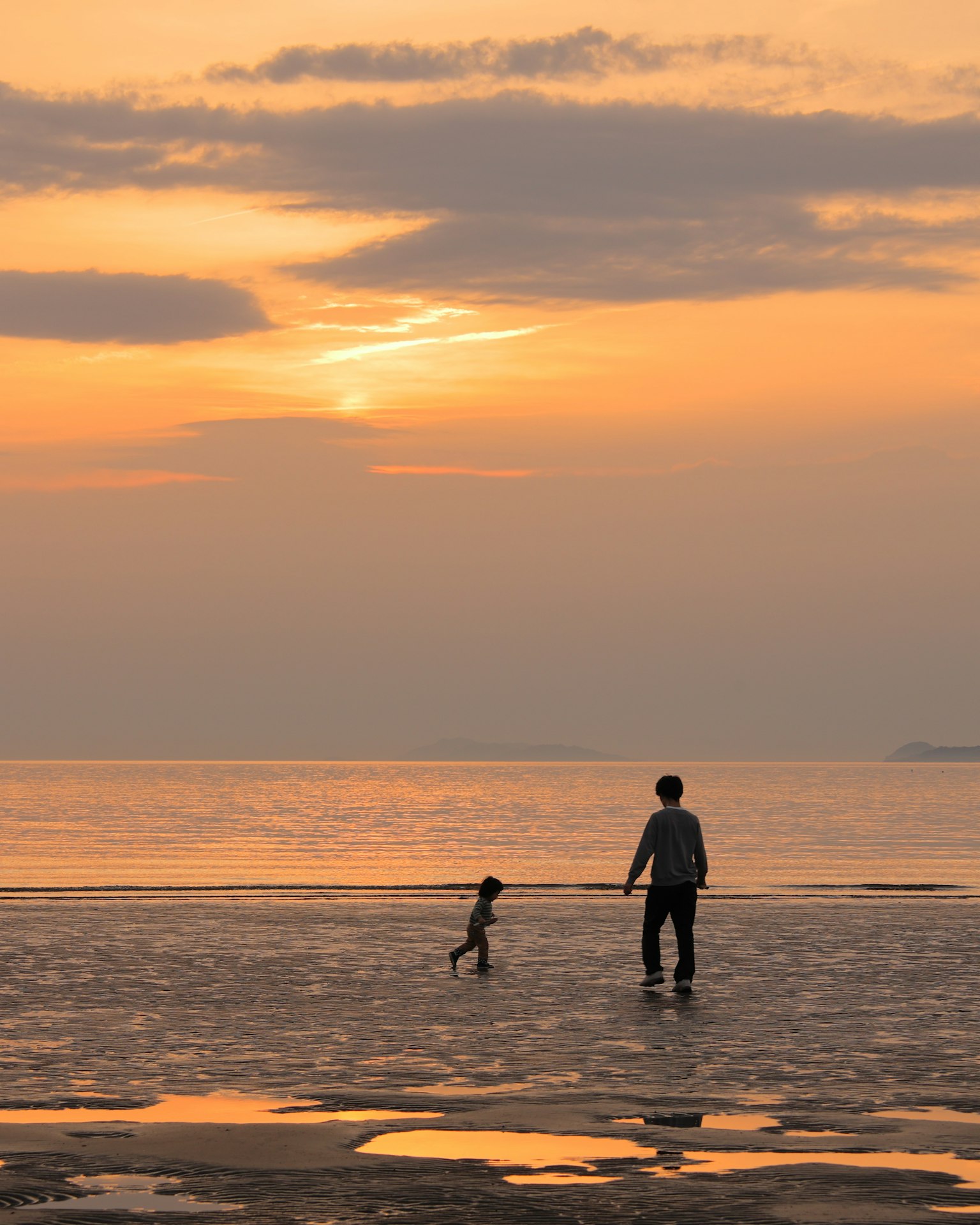 Persona che cammina con un cane sulla spiaggia al tramonto