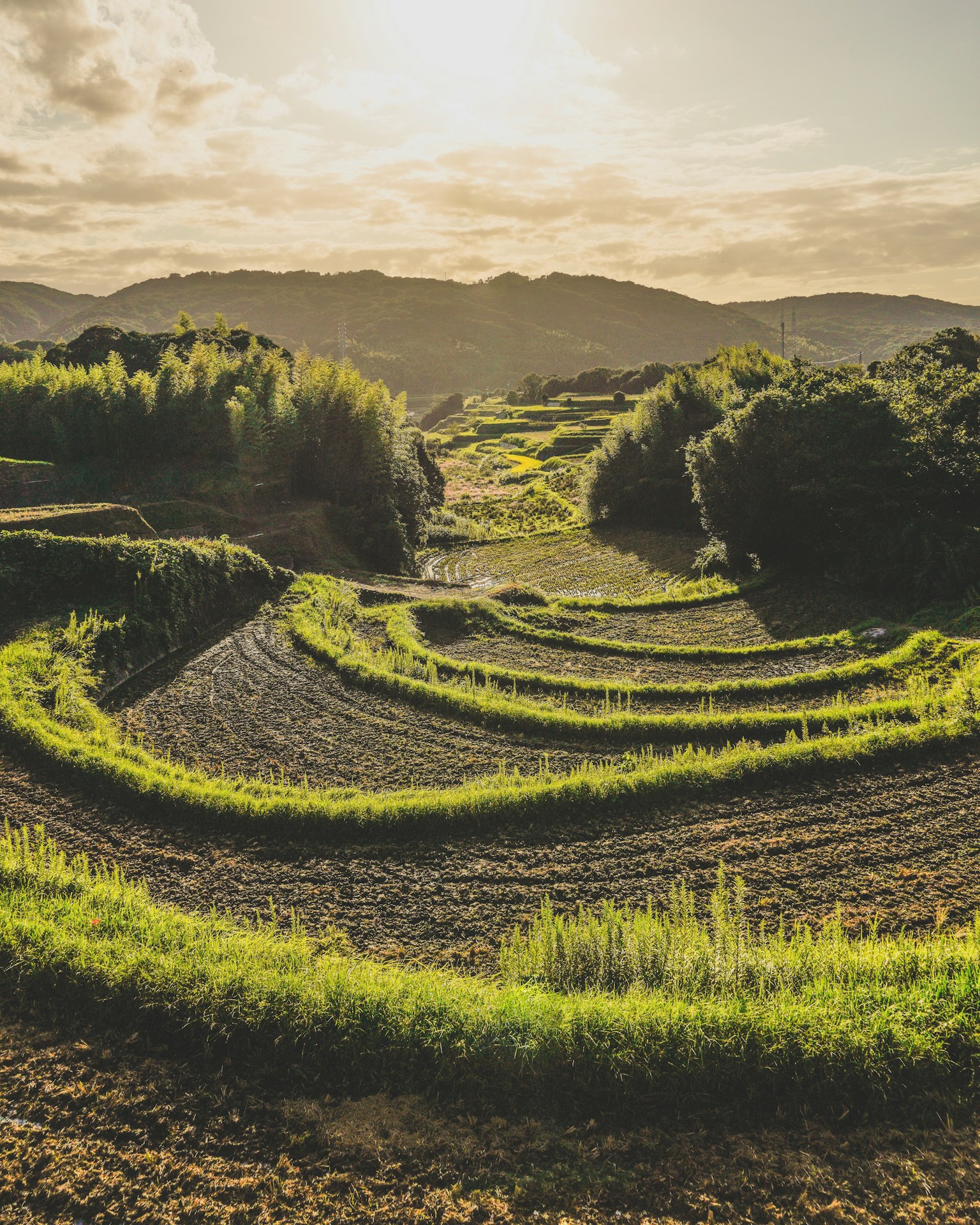 photo-gYAd7aJVAUEkJhUR0zyC-image