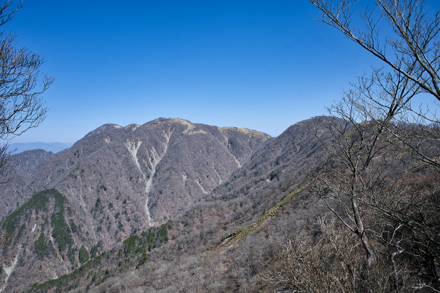 Scenic view of mountains under a clear blue sky with winter trees