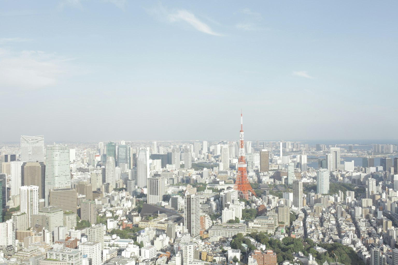 Vista panorámica del paisaje urbano de Tokio con la Torre de Tokio