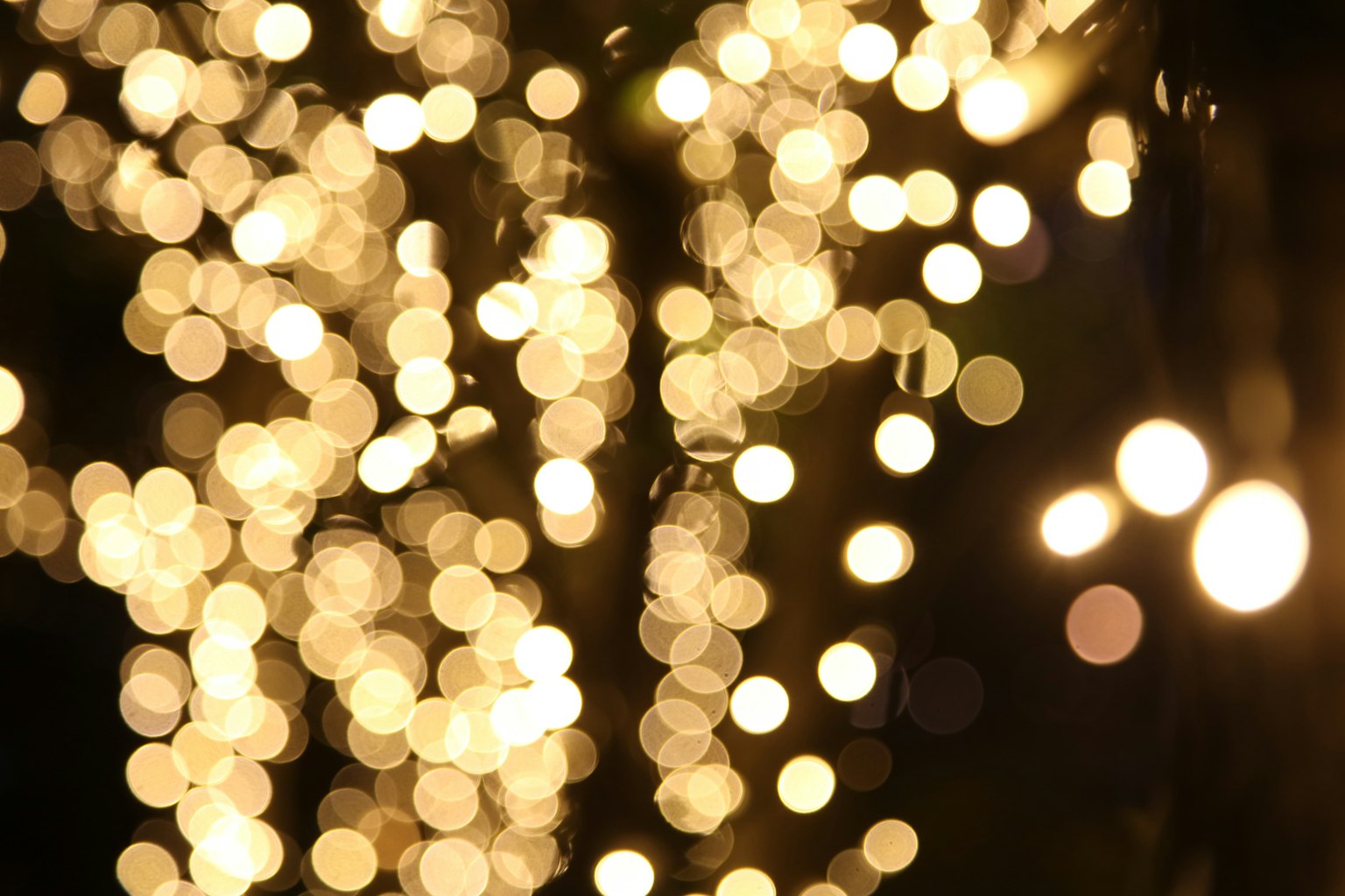 Blurred light orbs shining in a night scene