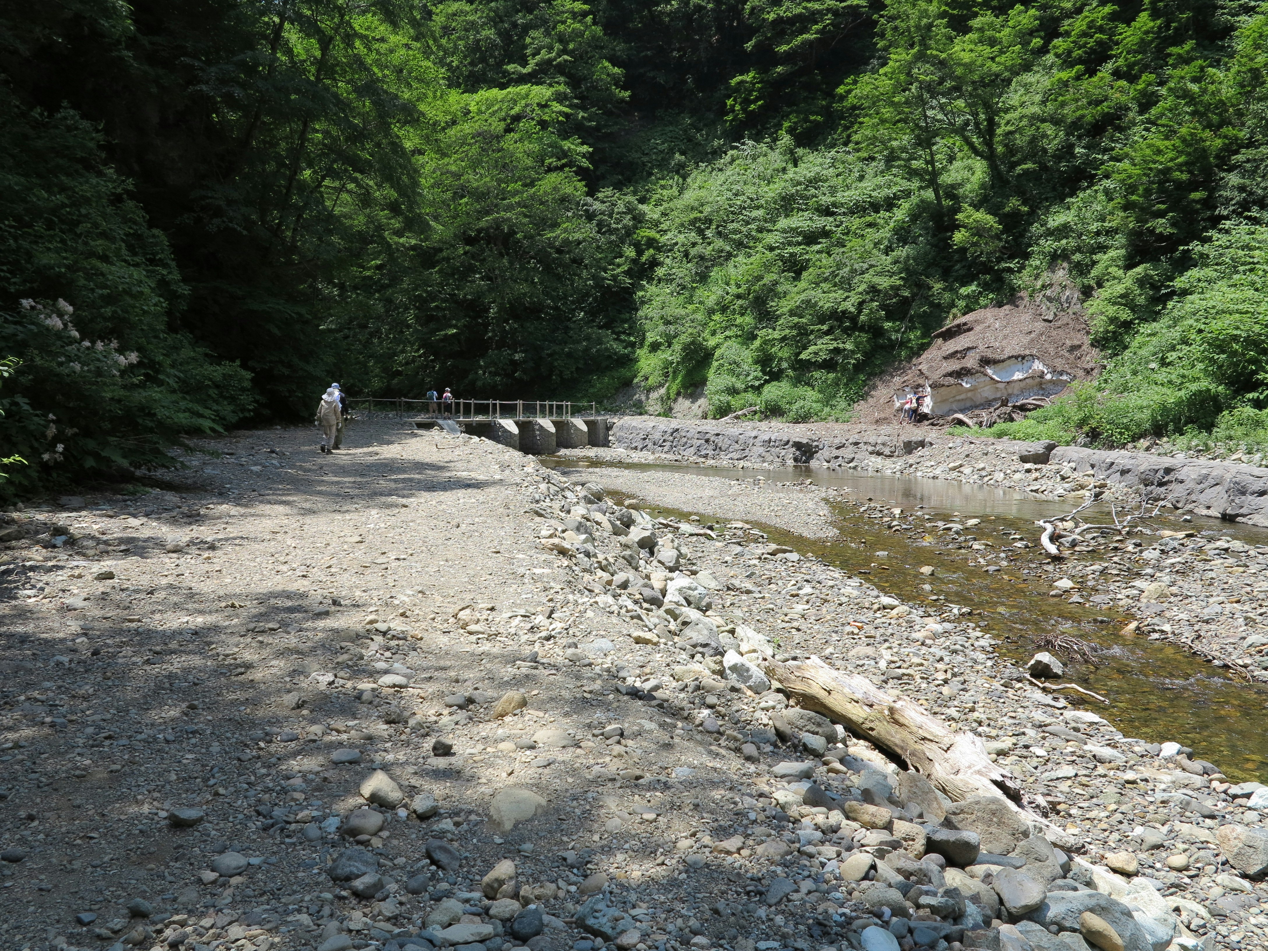 绿意山谷，岩石河岸与小型堰坝