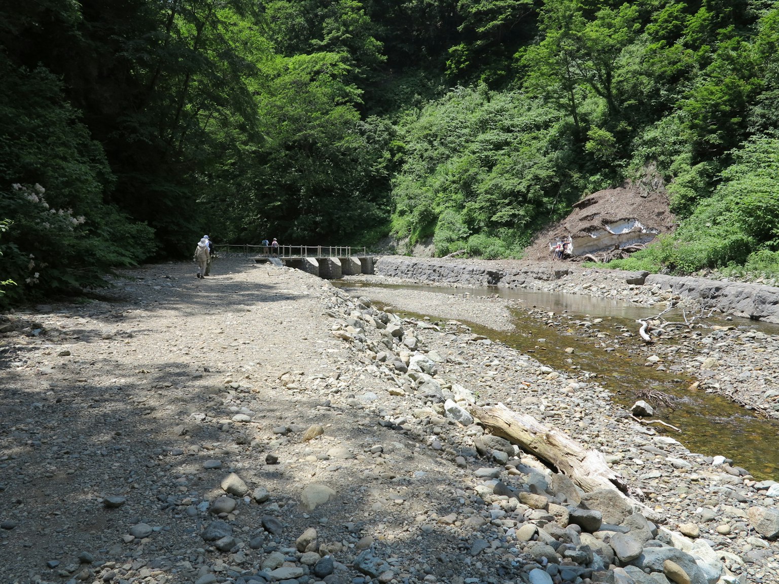 Scenic view of a riverbank surrounded by lush greenery