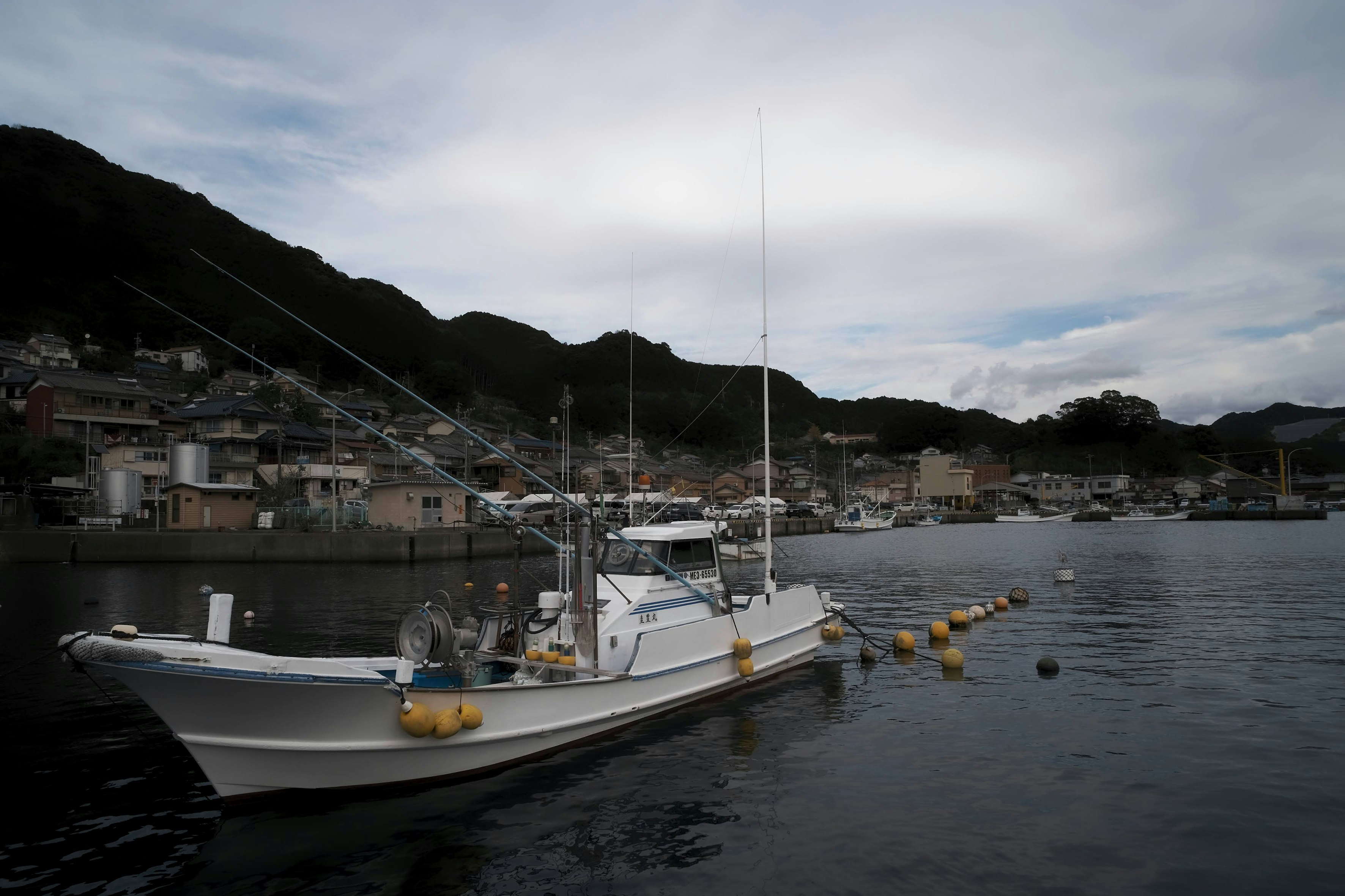 尾鷲の漁港に並ぶ係留漁船のある海辺の風景