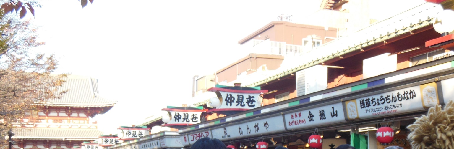 Scena di una vivace strada commerciale con insegne tradizionali sui tetti di vecchi edifici