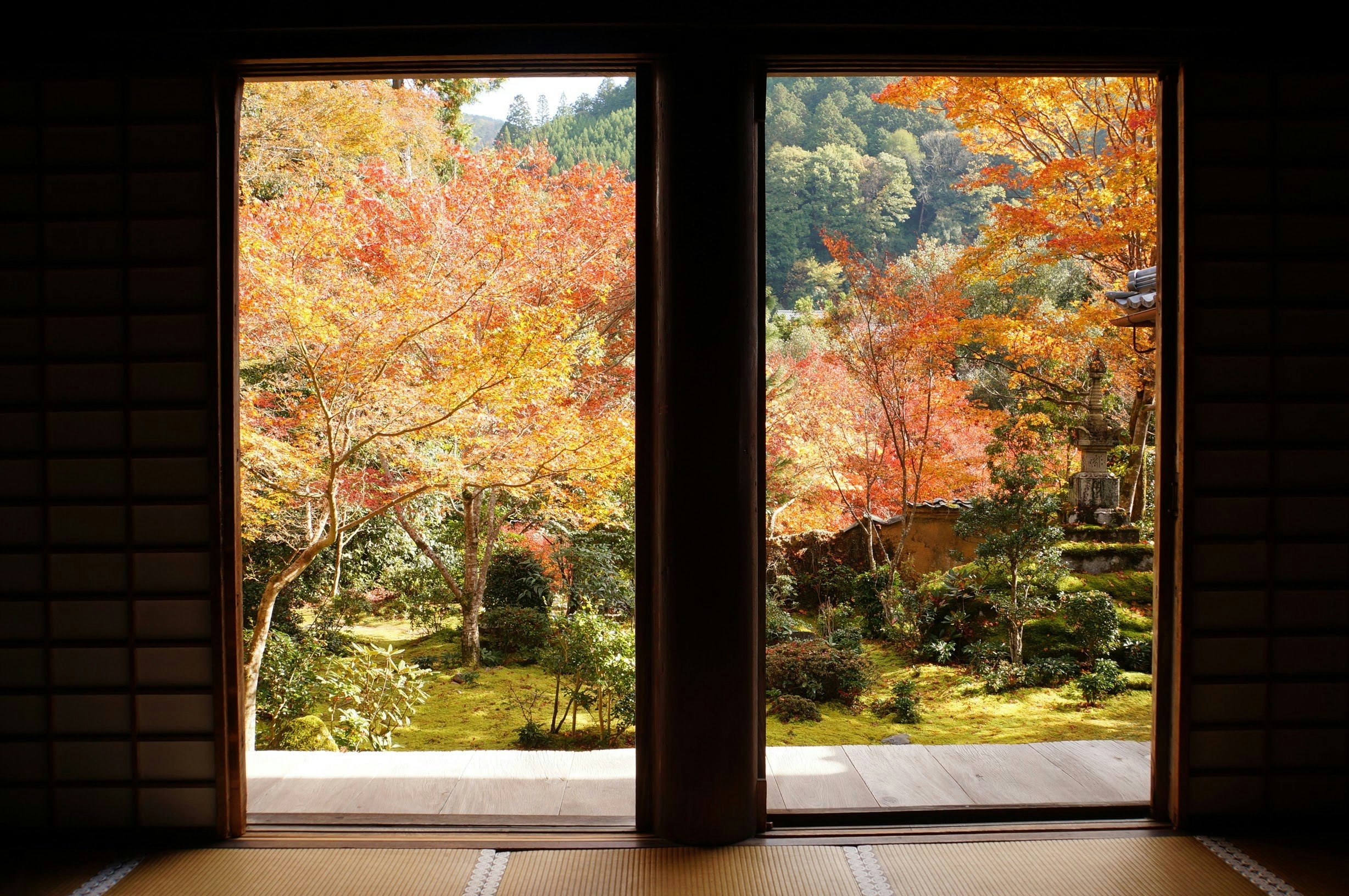 View of autumn foliage garden through a Japanese room window