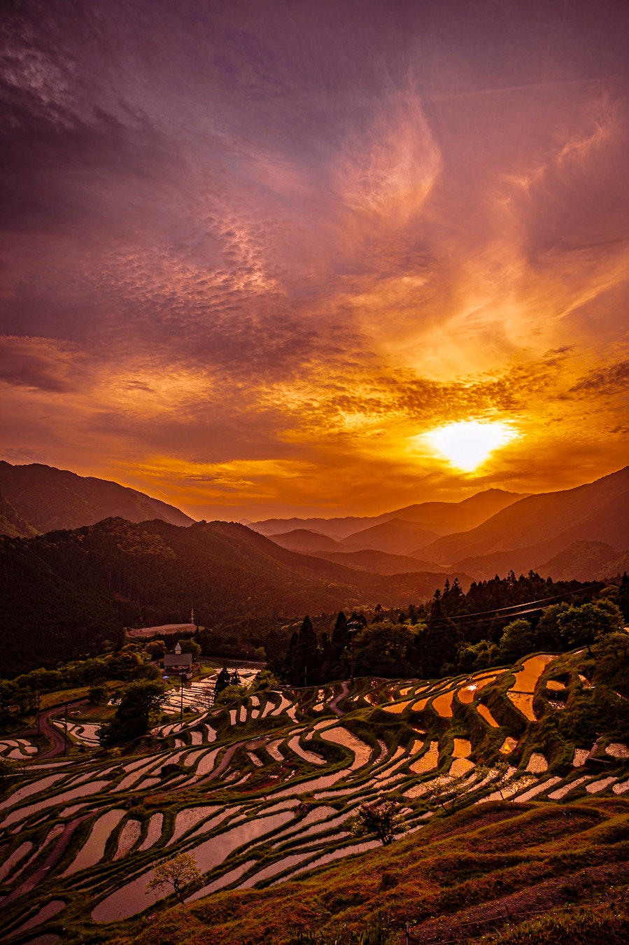 Maruyama Senmaida terraced rice fields under a sunset sky