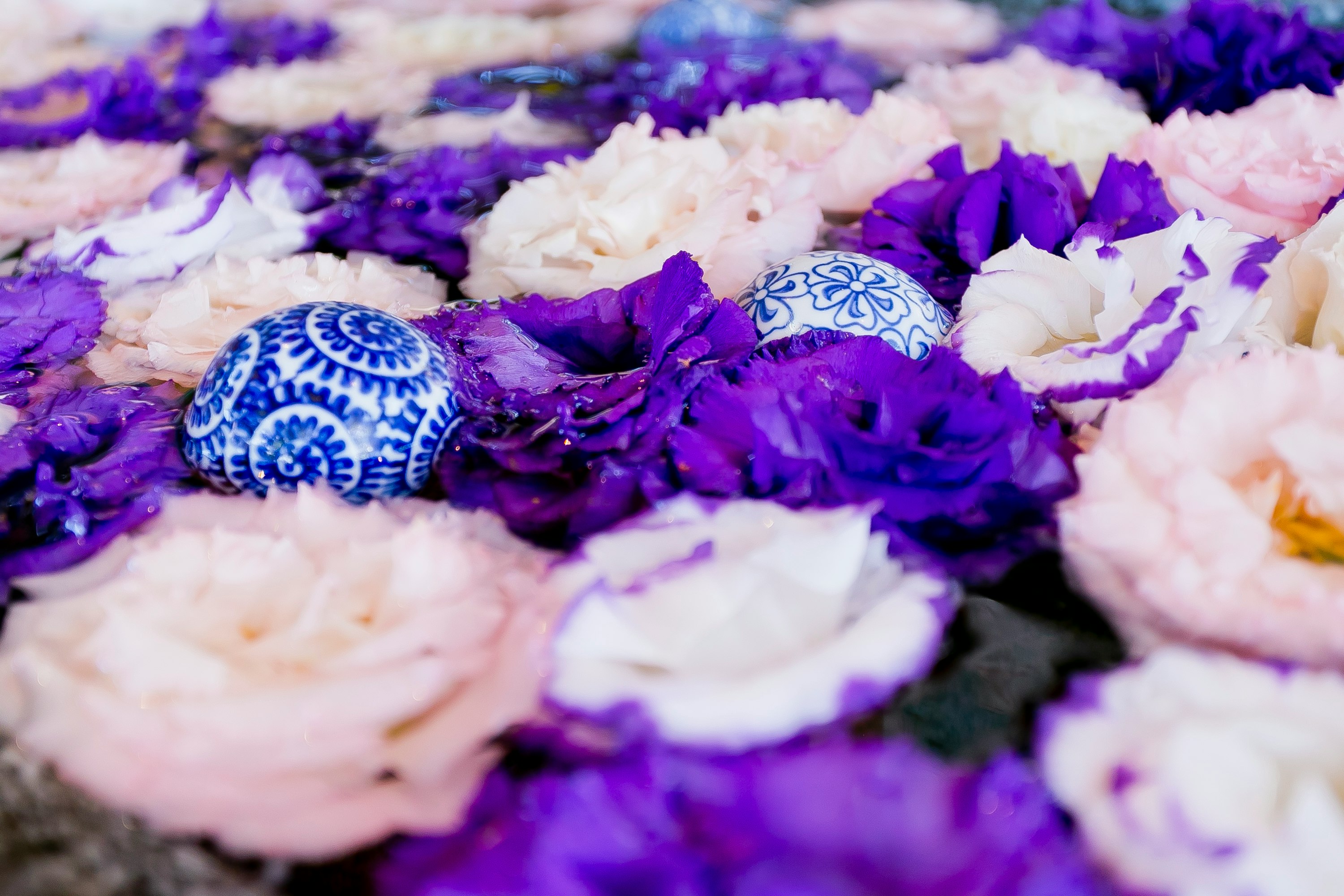 flower petals scattered in purple and white