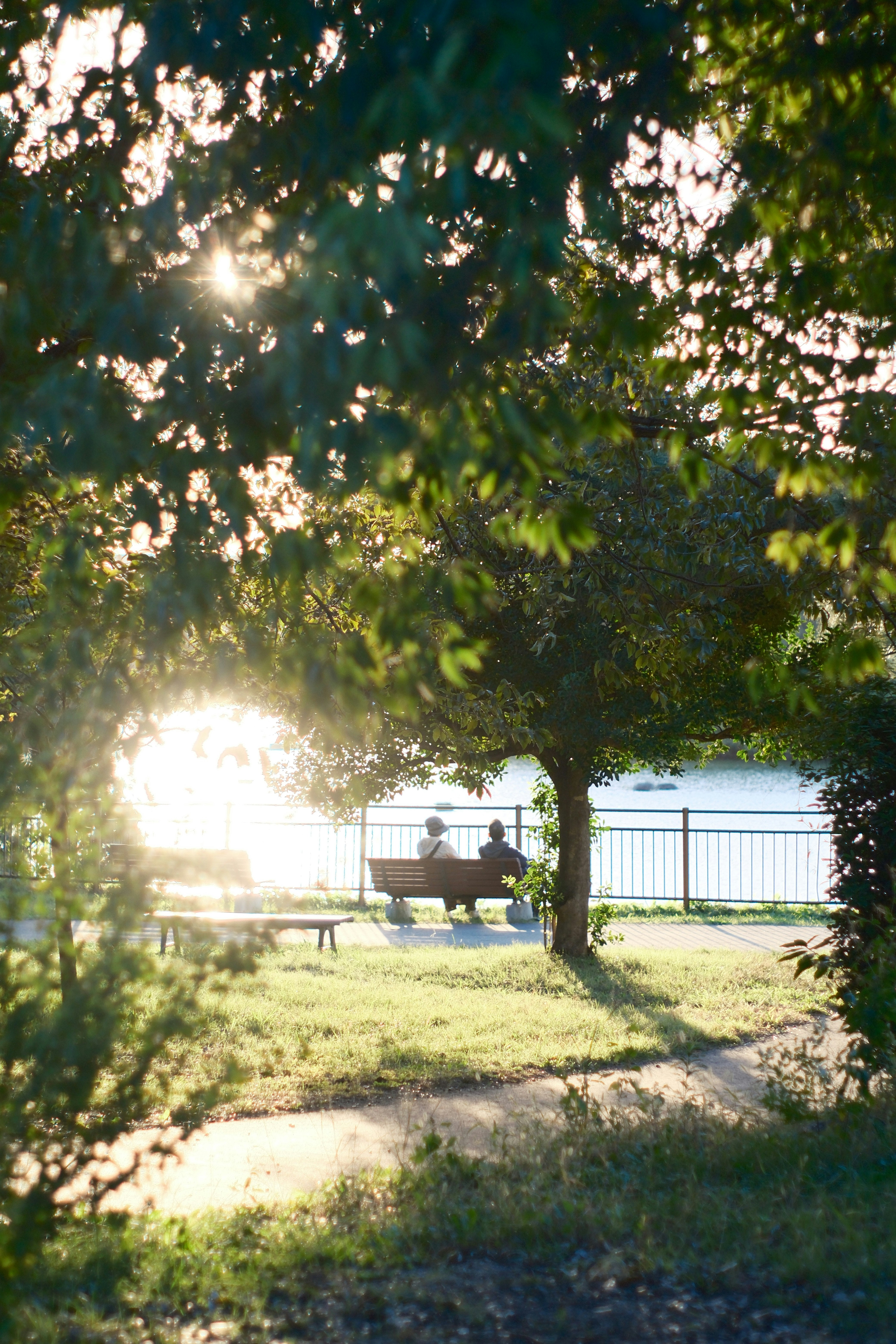 Personas sentadas en un banco junto al lago en el Parque Tsurumi Ryokuchi al atardecer