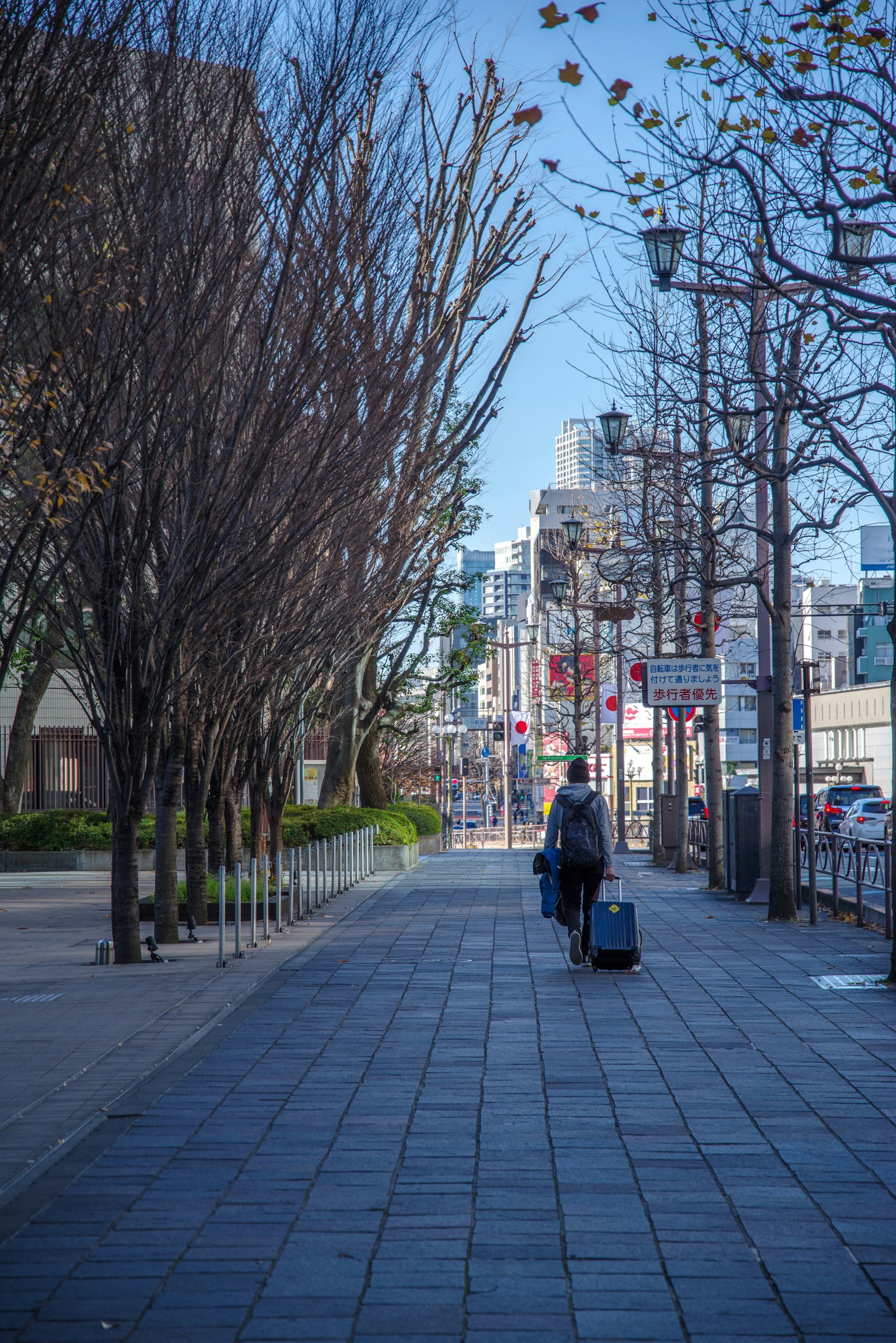 Persona caminando en una calle con árboles de invierno