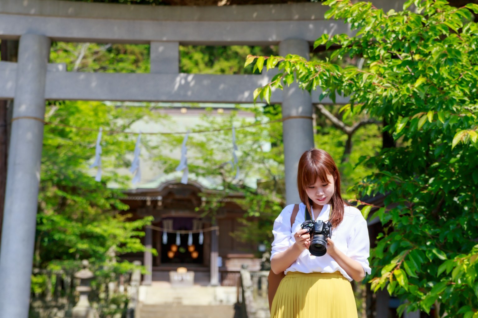 女性在神社門前手持相機被郁郁蔥蔥的綠色包圍