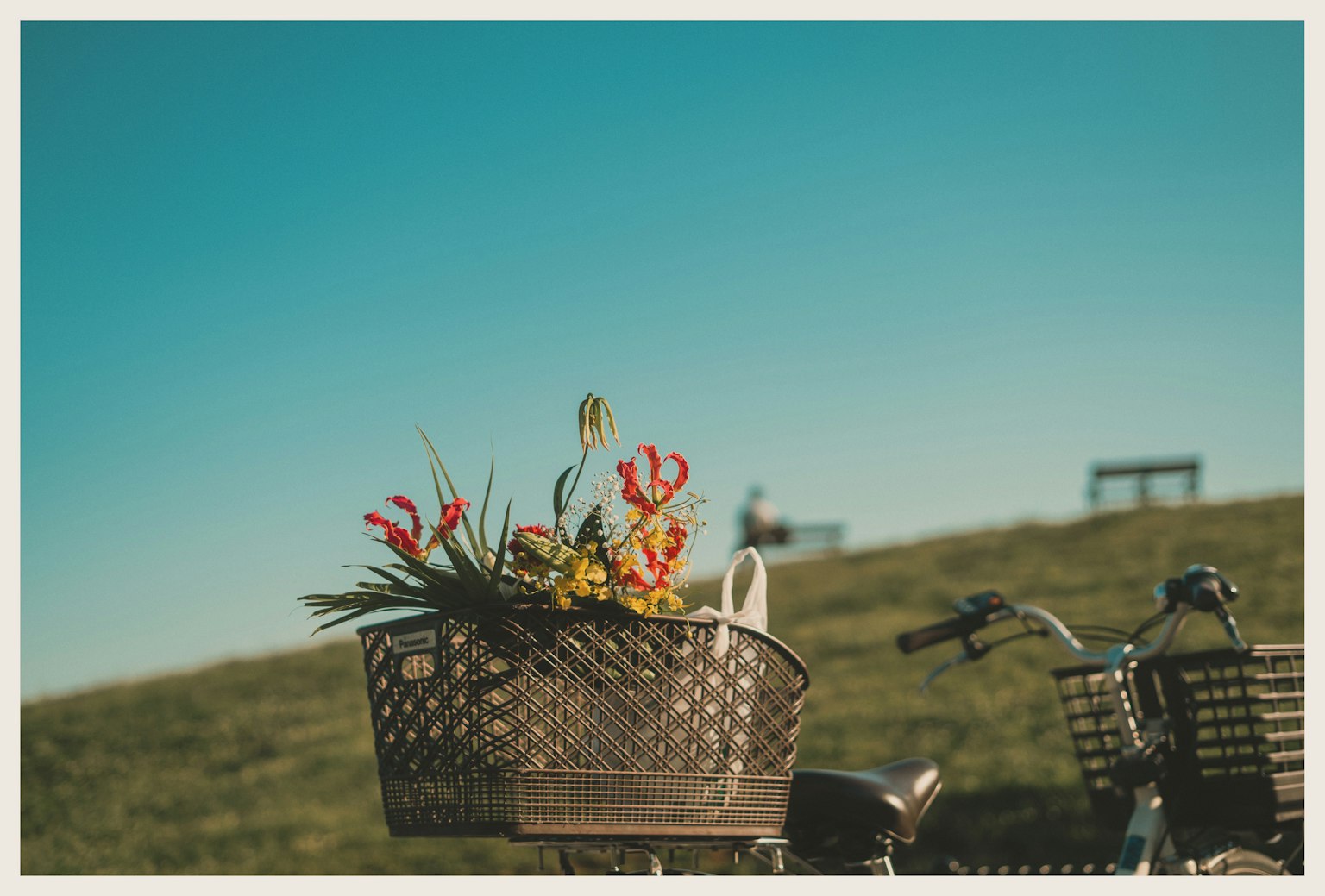 Cesta de bicicleta llena de flores bajo un cielo azul claro atmósfera relajante