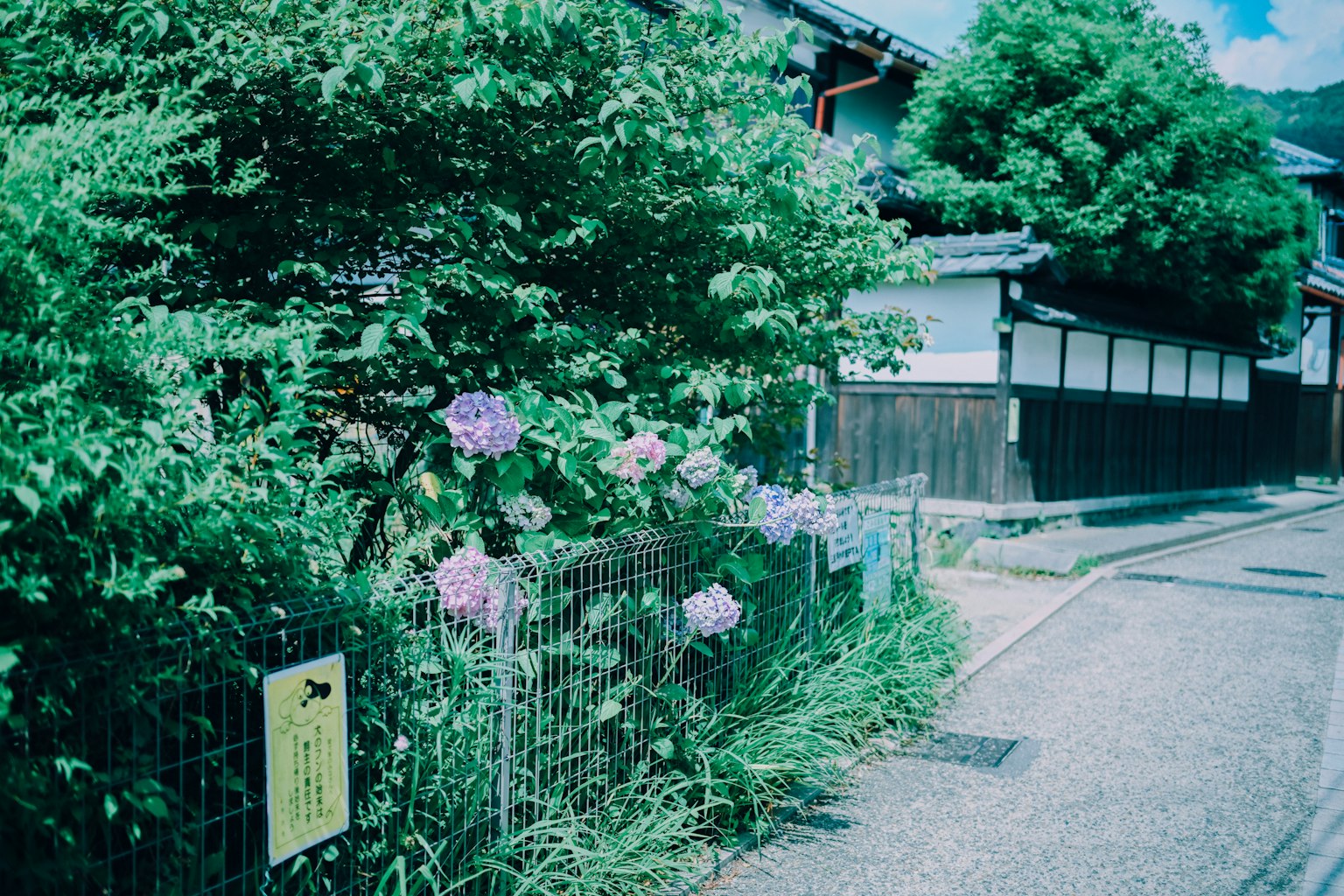 photo-ge9uDVYeyndSNla9U9ga-image