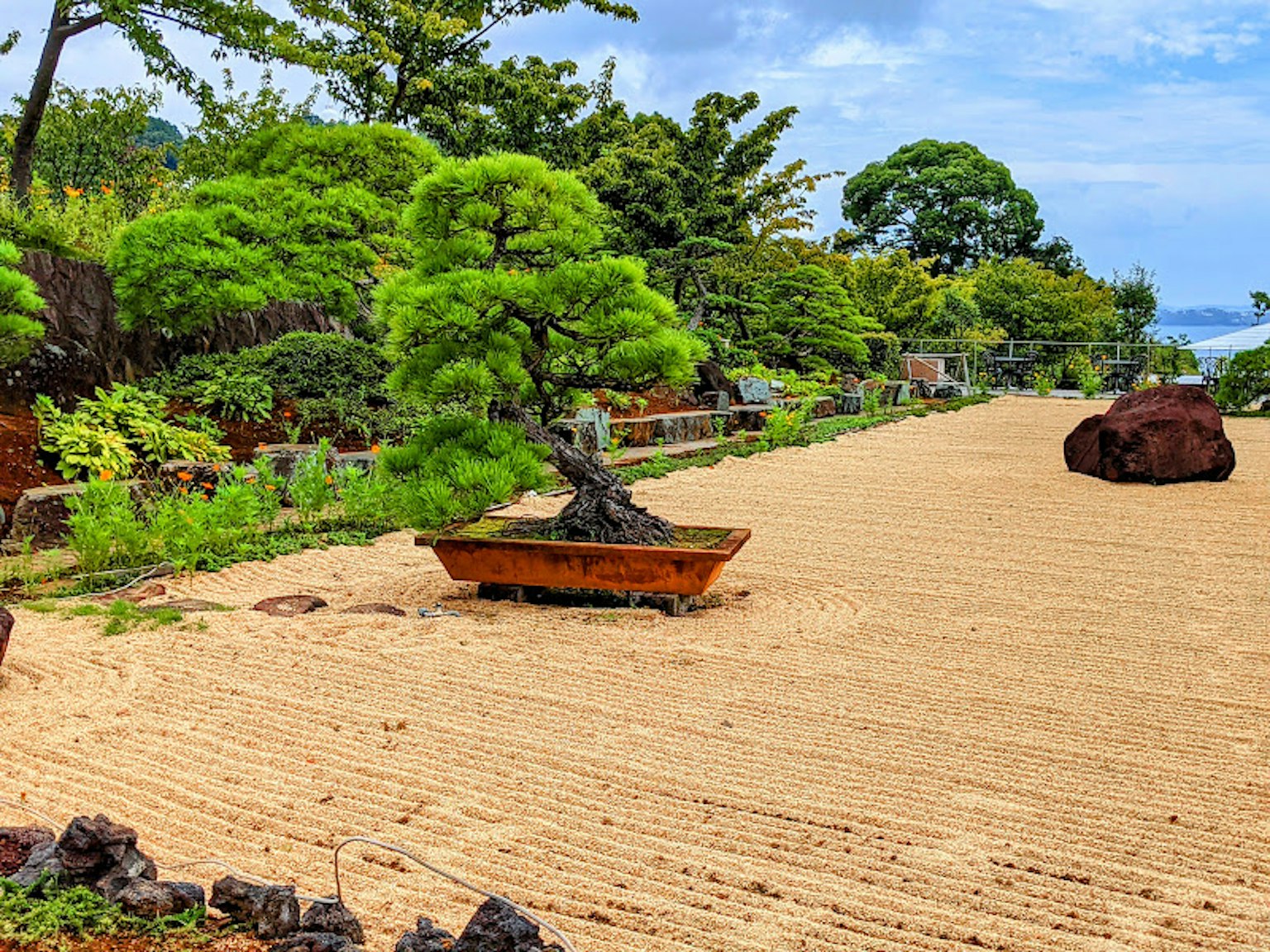 Una bella parte di un giardino giapponese con bonsai e un sentiero di sabbia