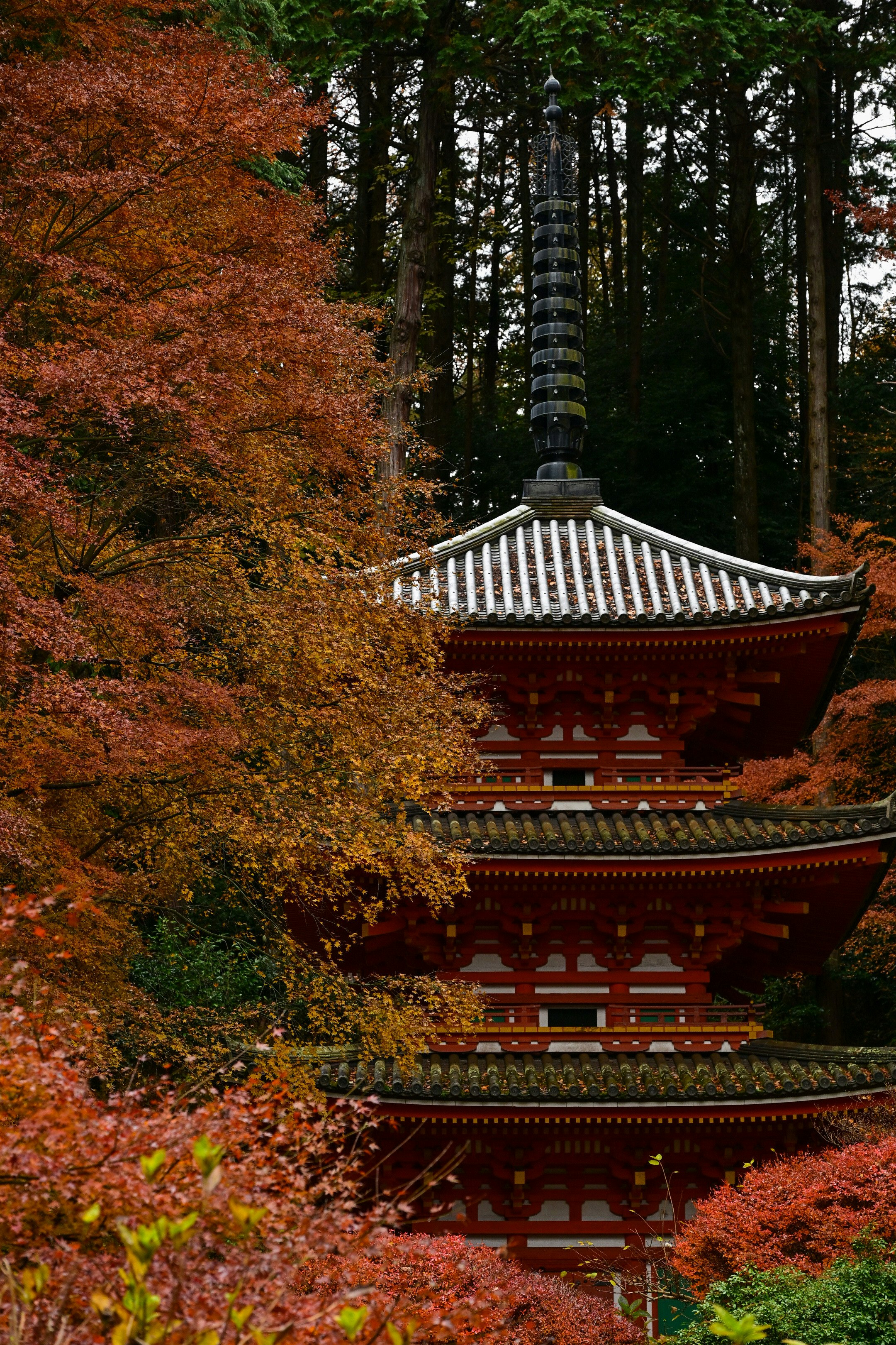 Autumn foliage surrounding a multi-tier temple at Iwafune-ji