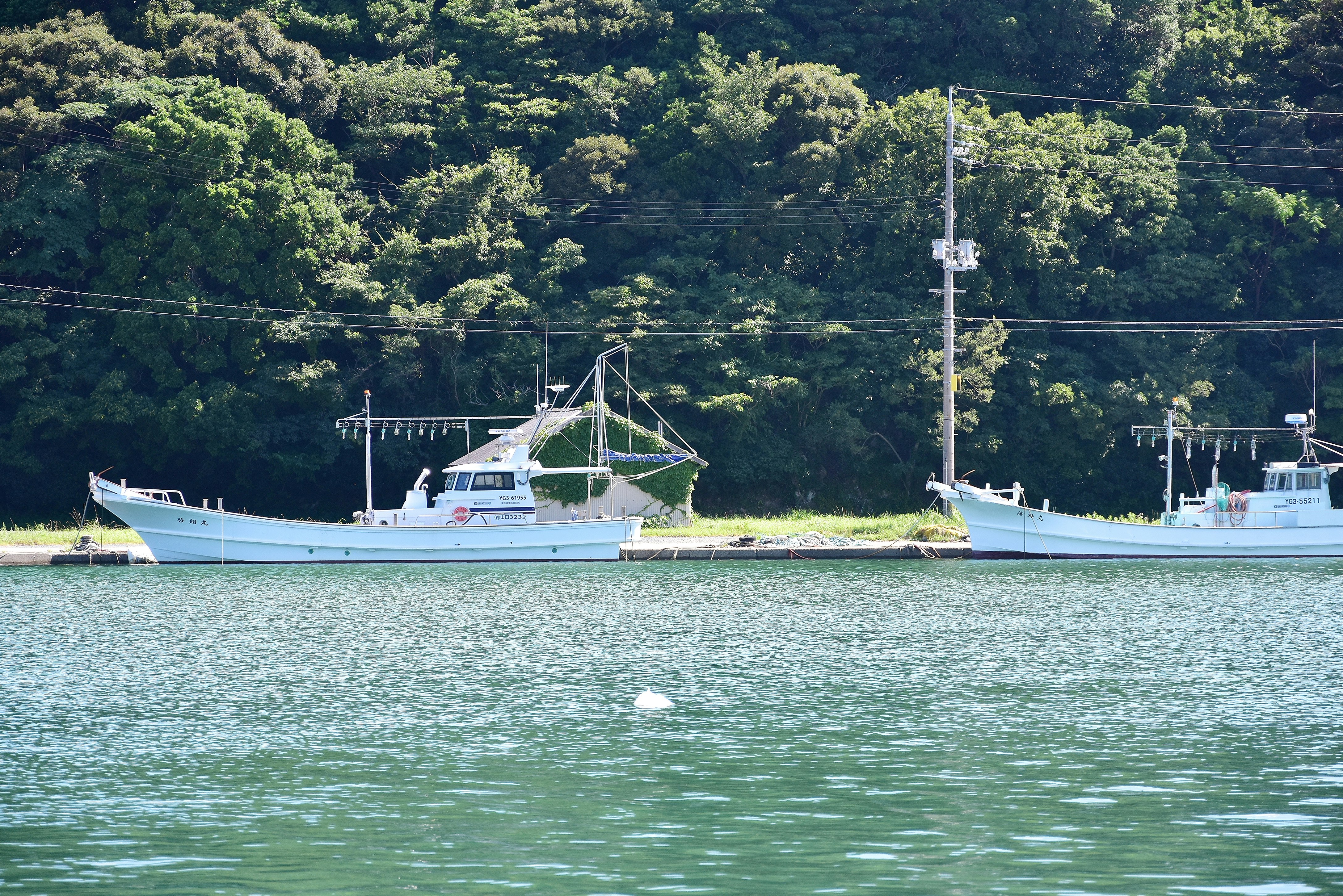湖畔に停泊するヨットとボート