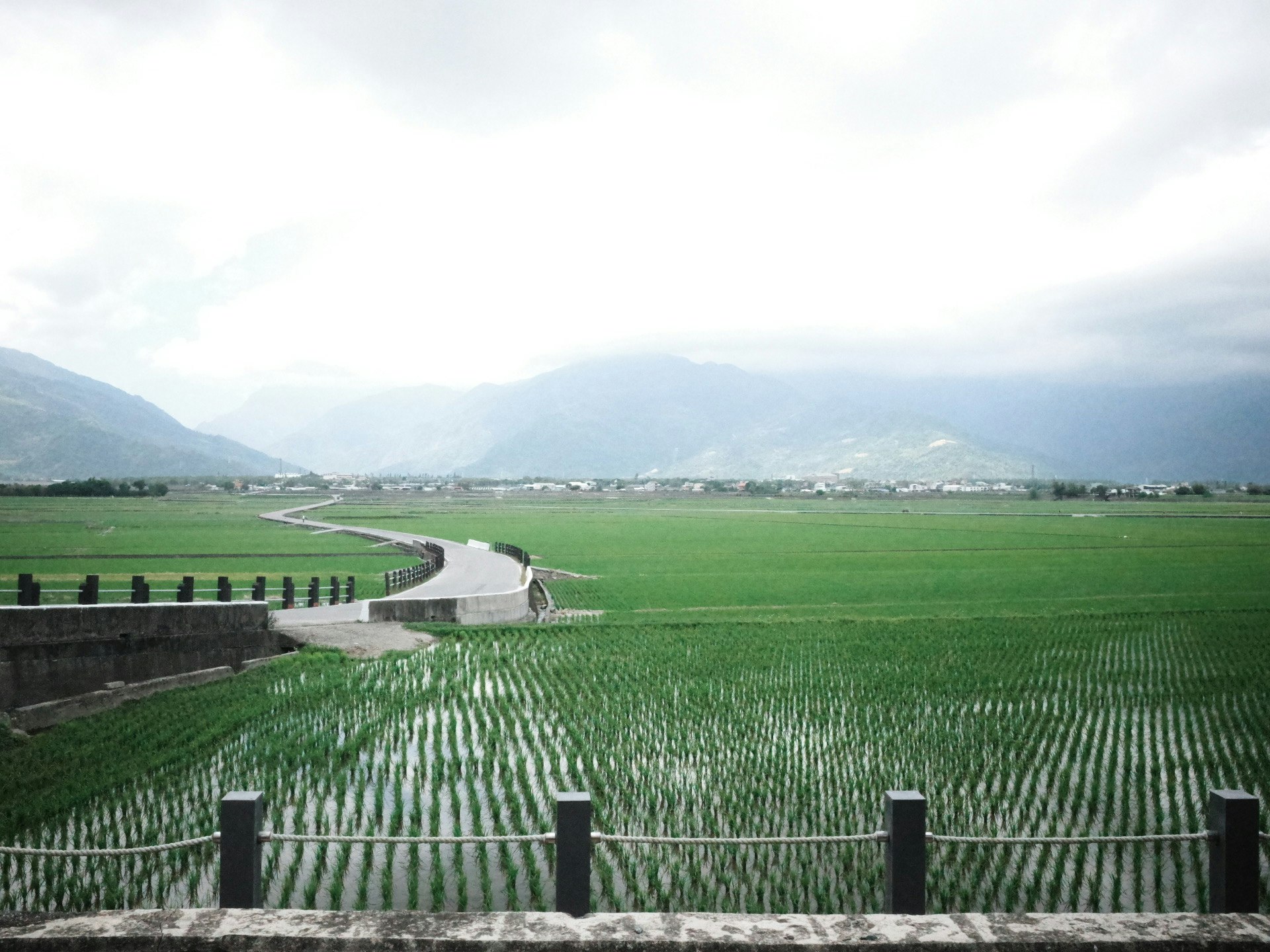 緑の田んぼと山々の風景 道路が田んぼの間を通る