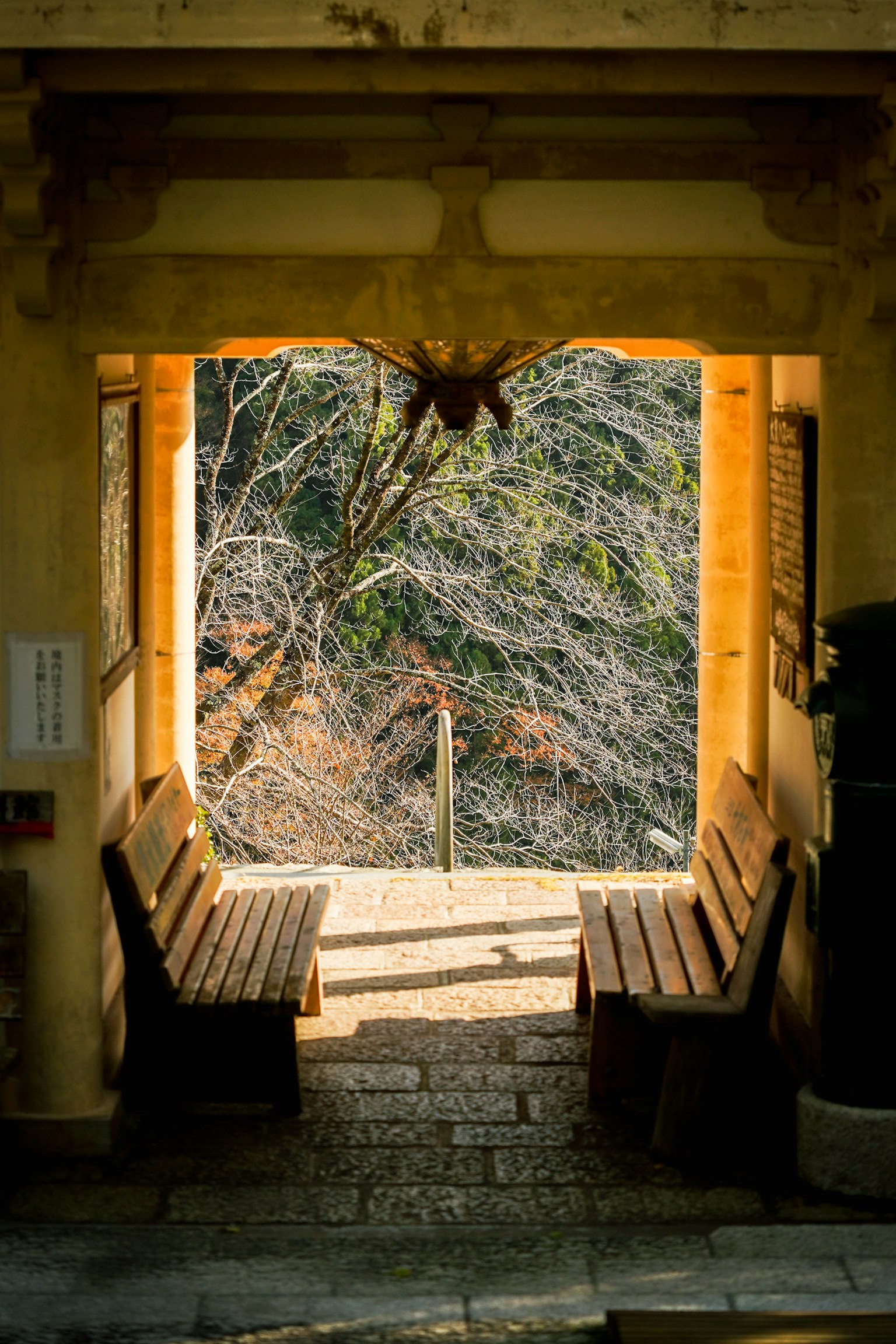 Arco con panchine in legno che conduce a una vista di alberi