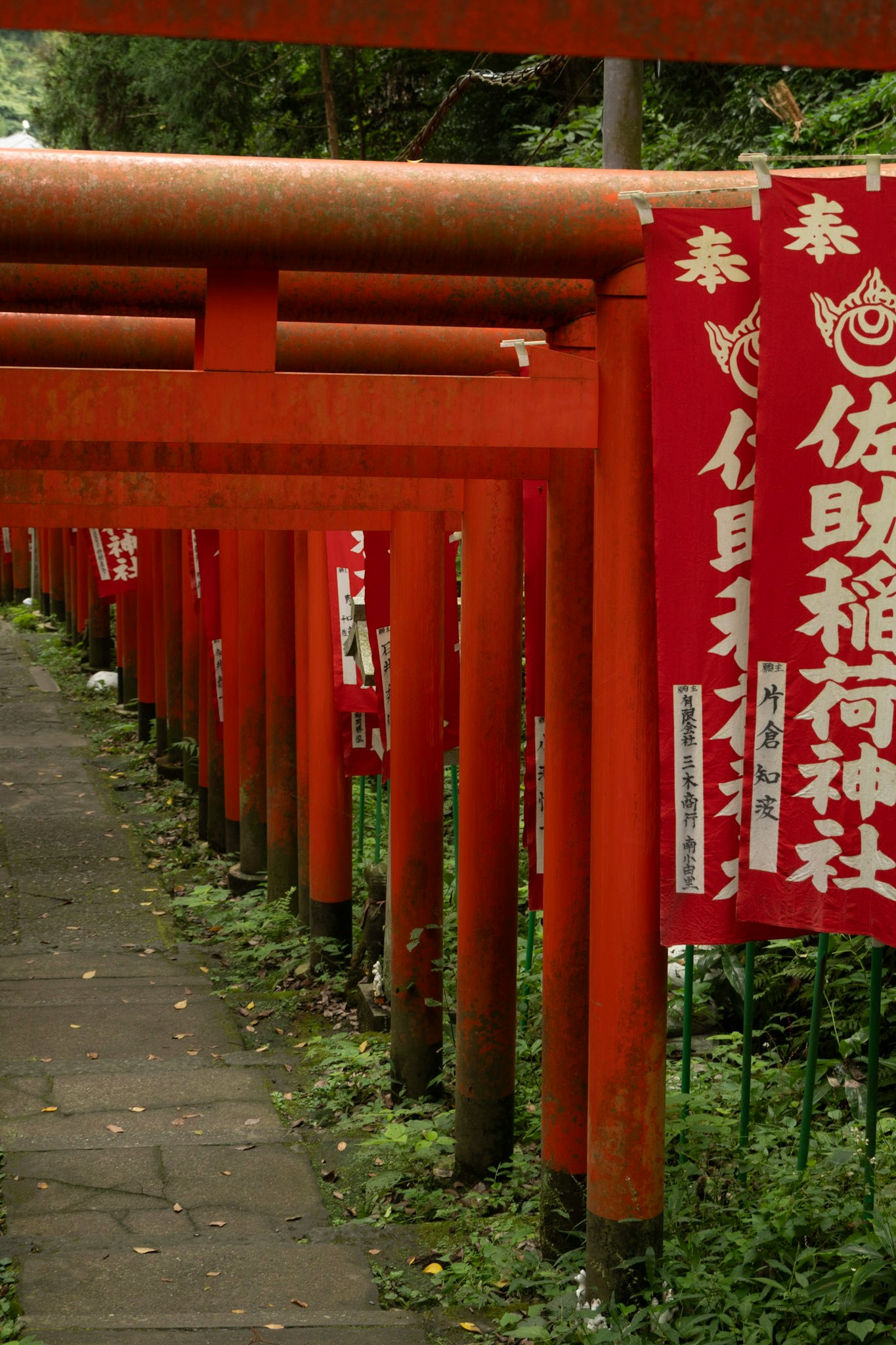 红色鸟居与成排祈祷牌的神社小路