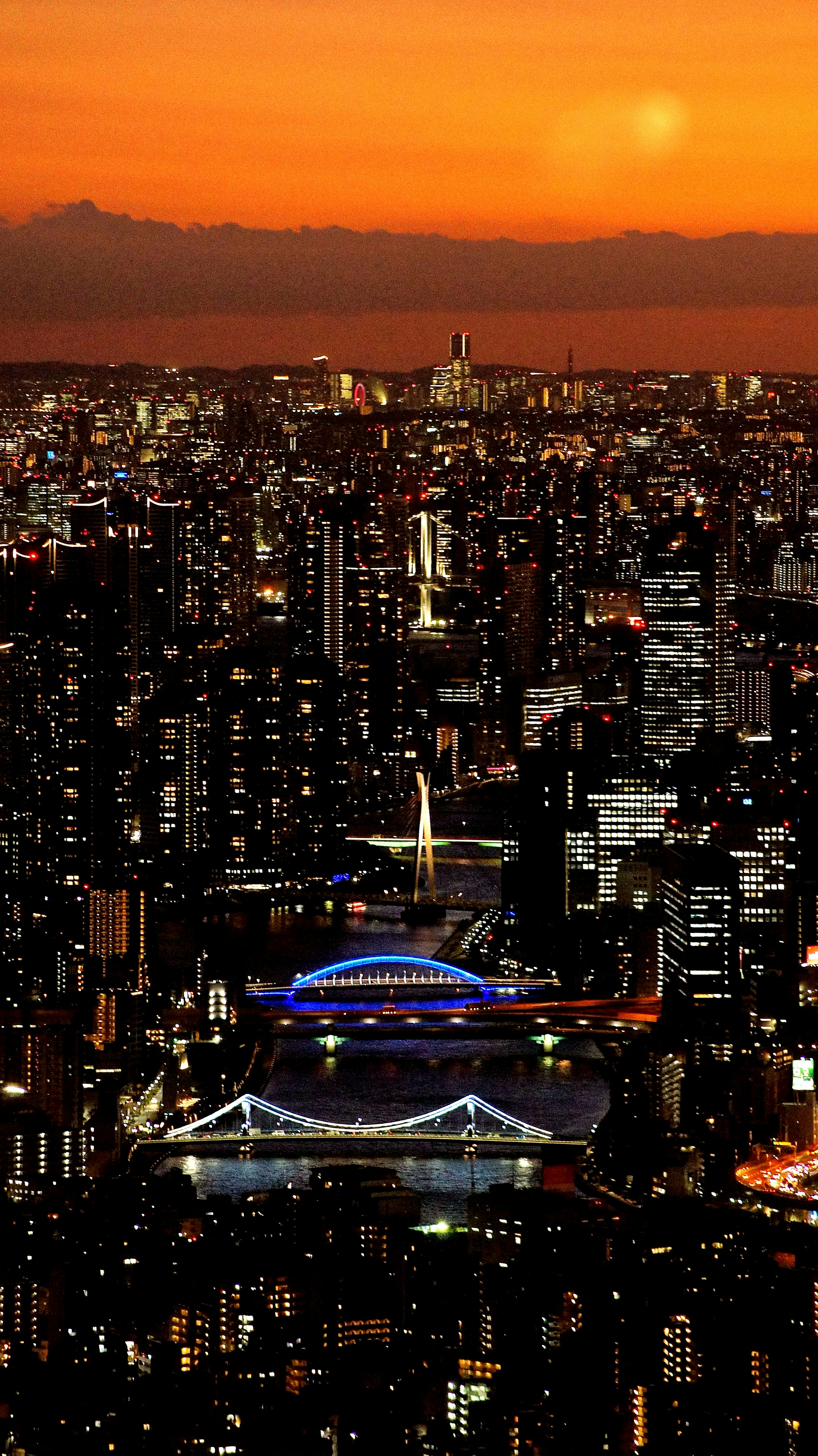 日落时分的夜景中，永代桥与彩虹桥的远景