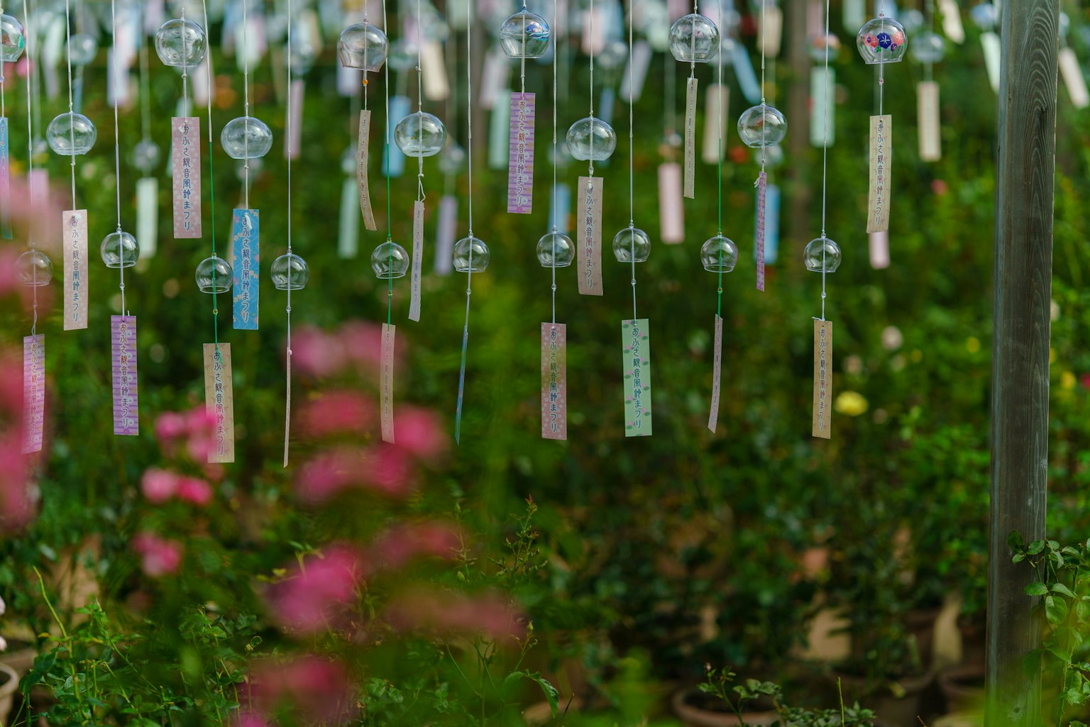 Carillons colorés suspendus dans un jardin avec des fleurs roses et des plantes vertes en arrière-plan