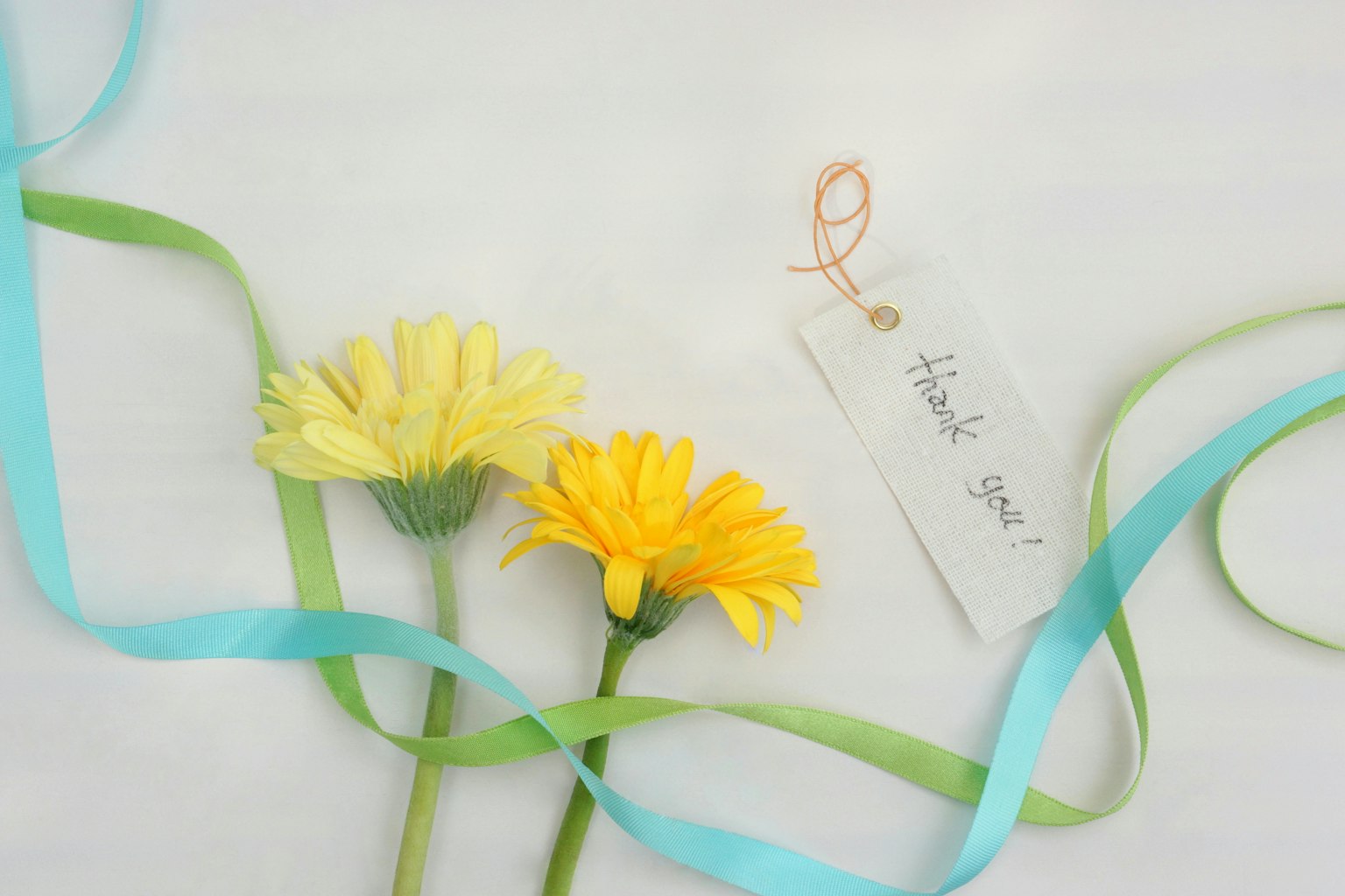 Image featuring yellow flowers and colorful ribbons arranged aesthetically