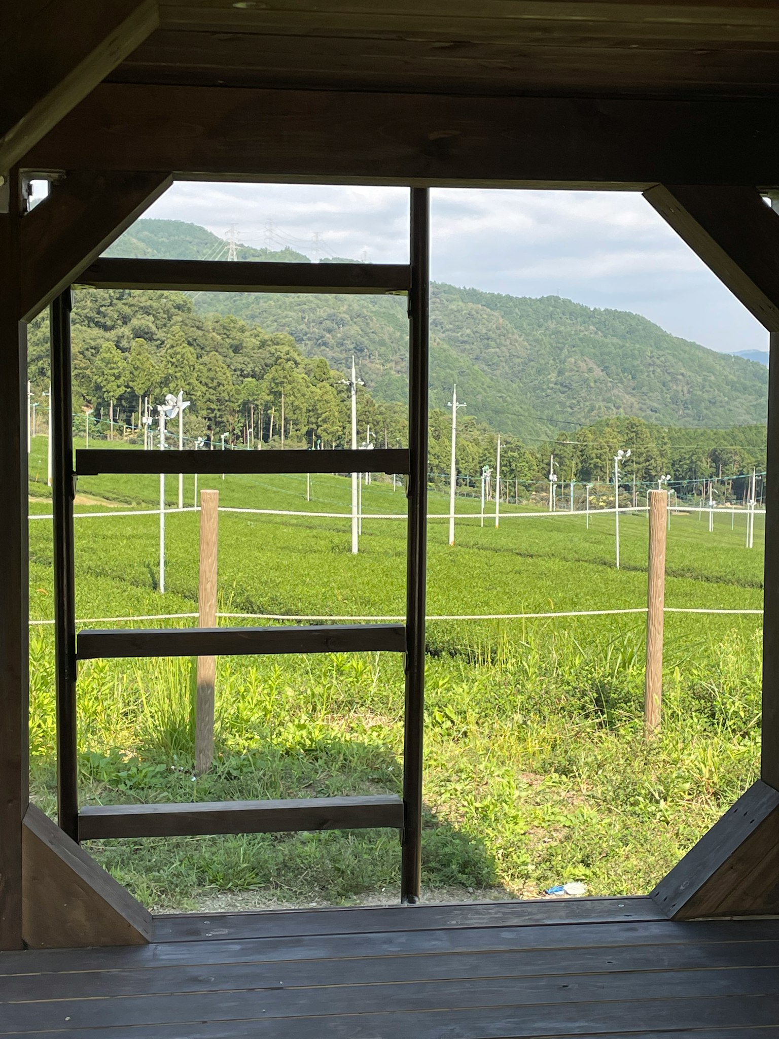 窗户外的绿色稻田和山脉景观