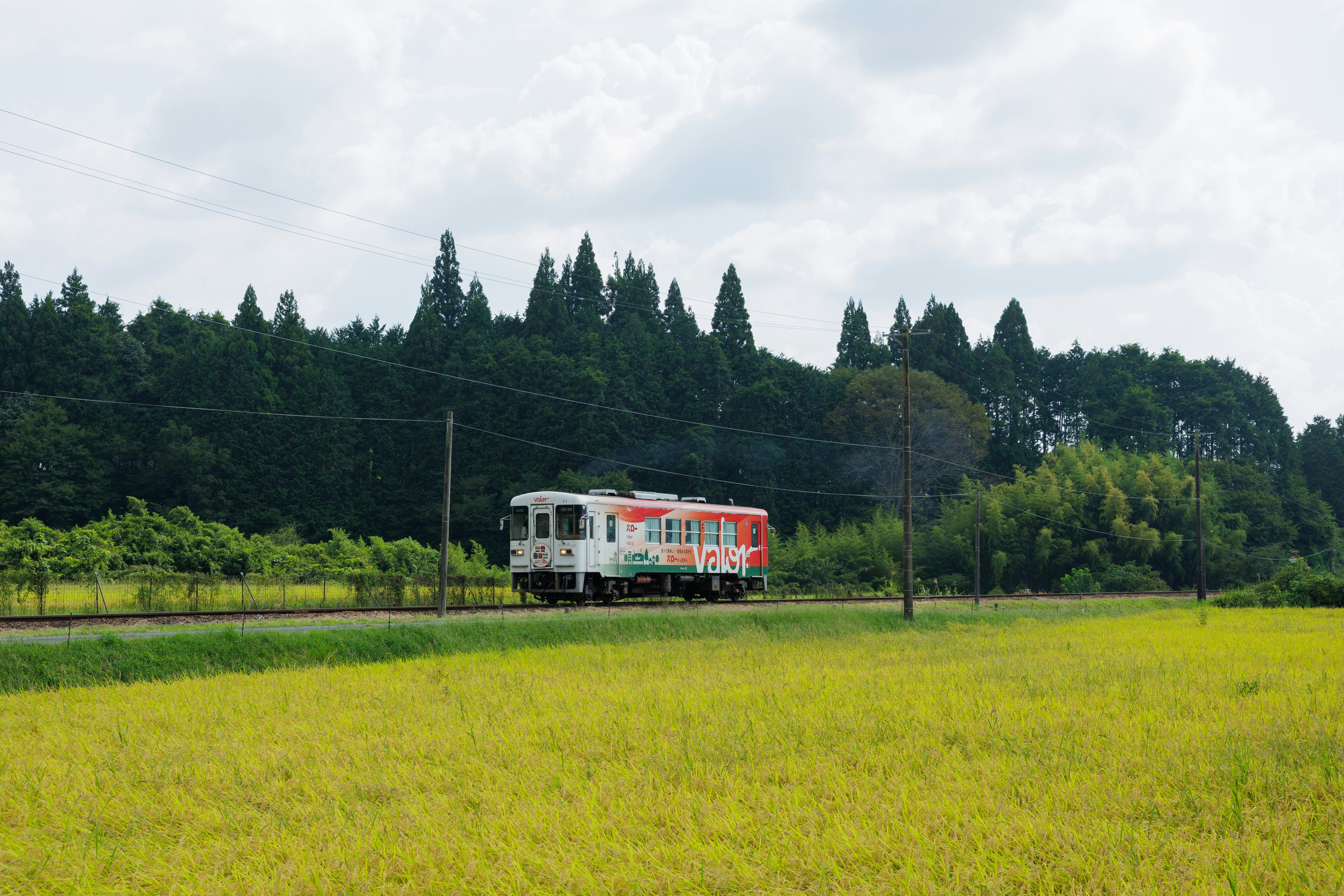 Train rouge et blanc traversant un paysage rural avec des arbres verts