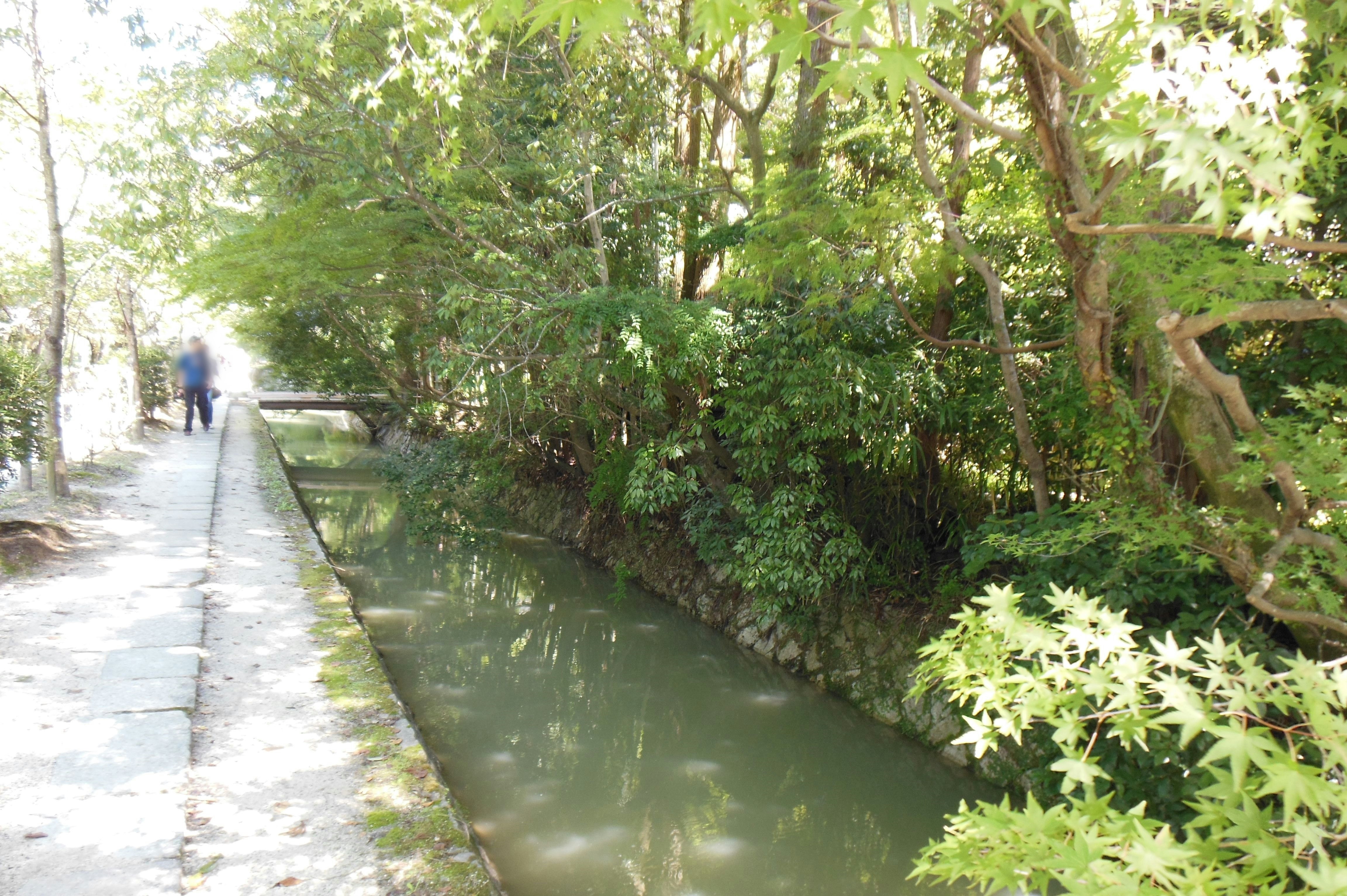 stone walkway along a green-lined canal