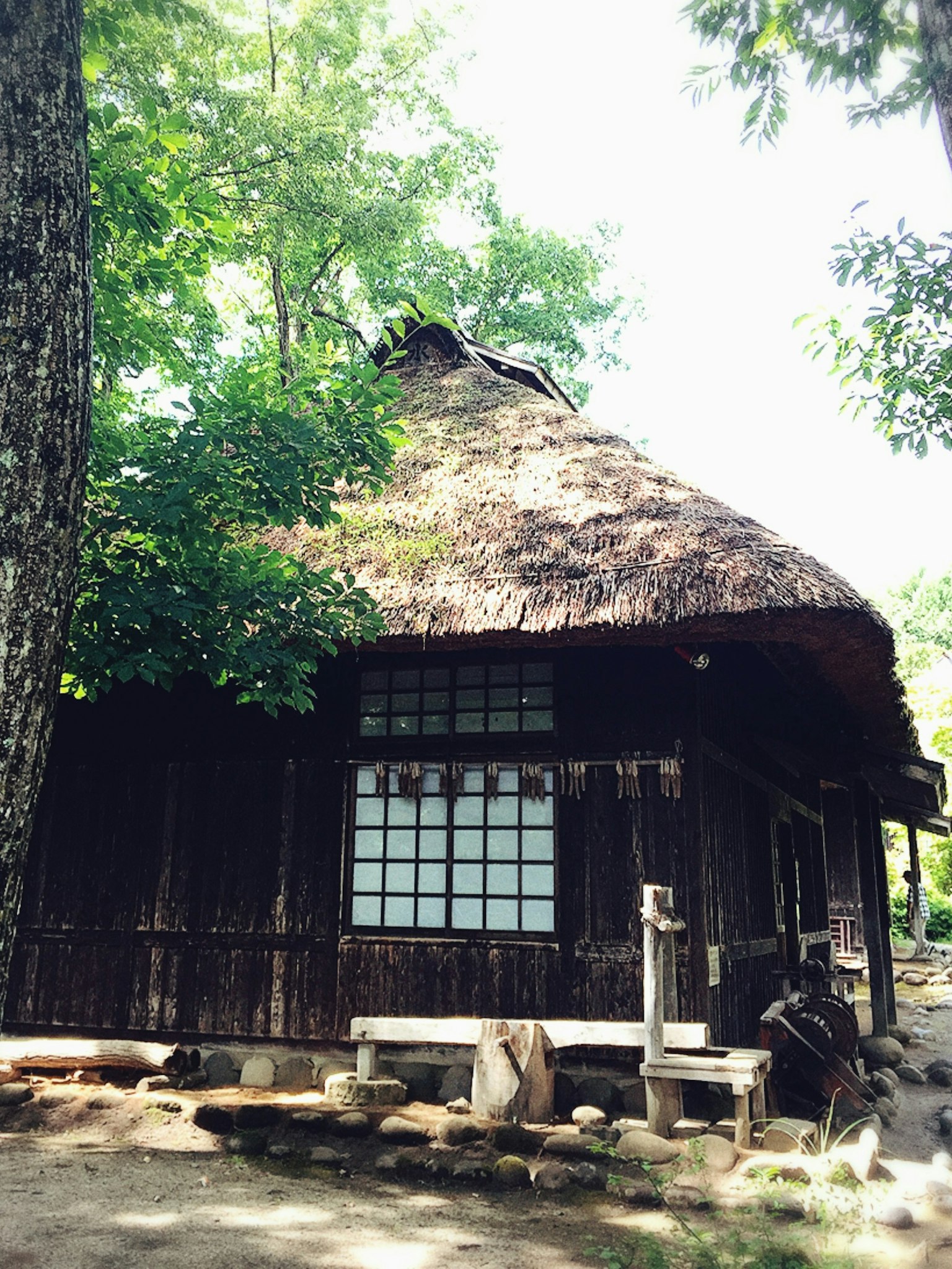 Rumah Jepang tradisional dengan atap jerami dikelilingi pepohonan