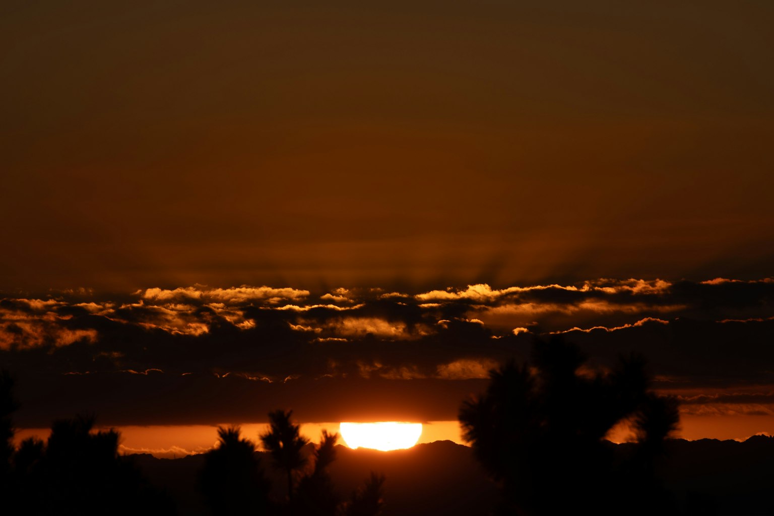 Beautiful sunset with clouds and silhouette of trees
