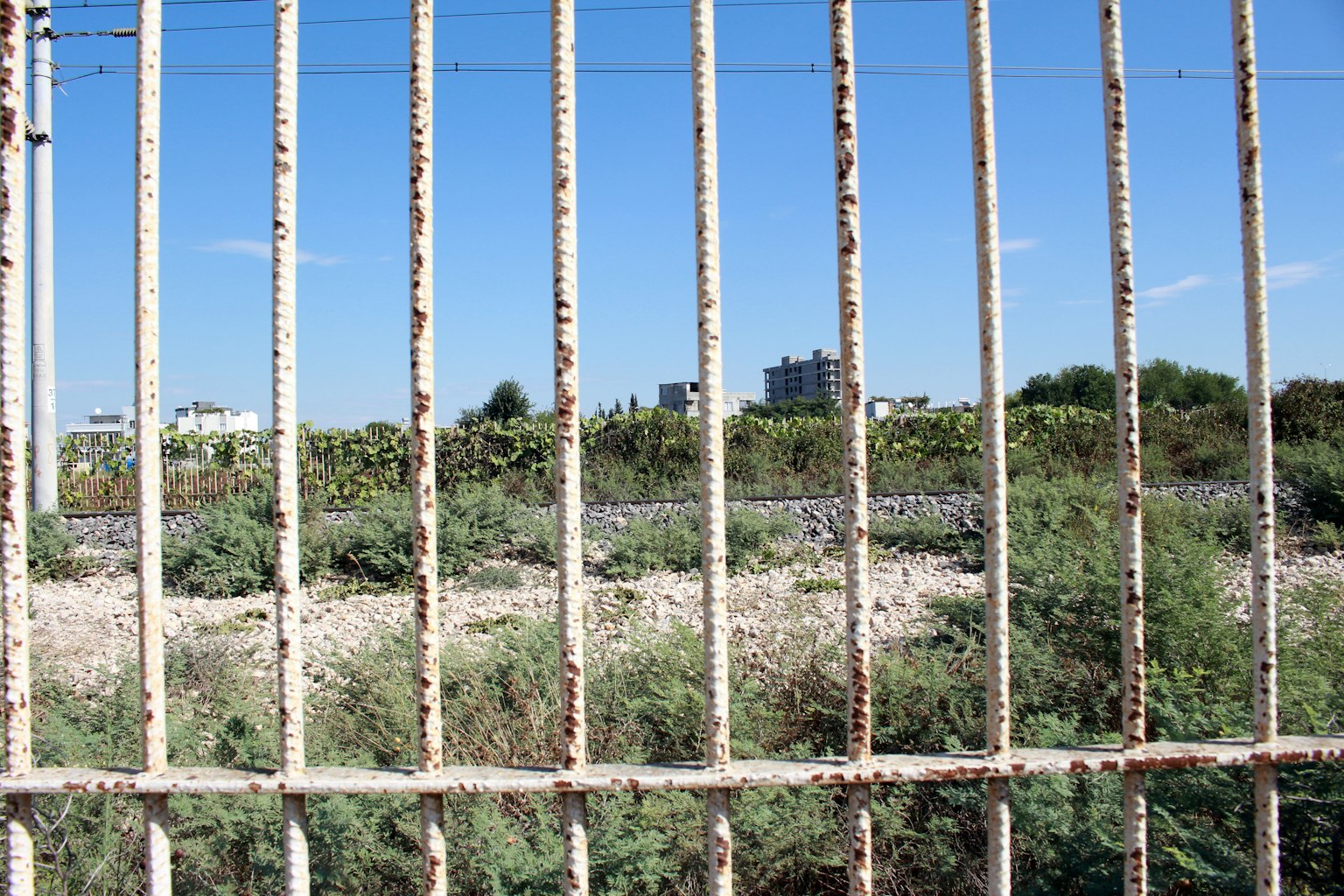 Blick durch einen rostigen Metallzaun mit Grünpflanzen und blauem Himmel