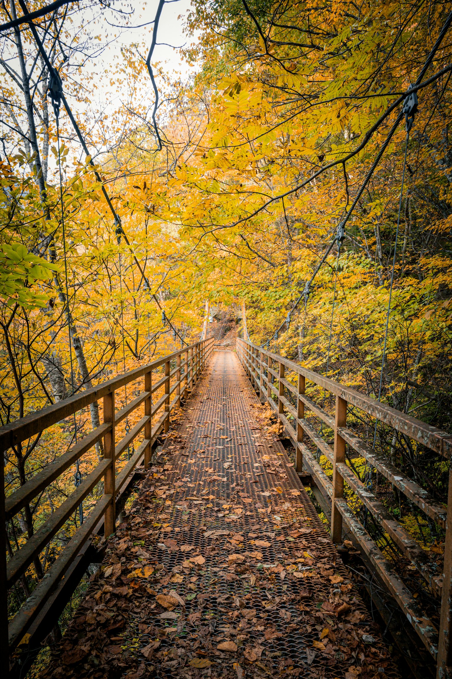 photo-gkPIxIkjwauXntUUppnk-image