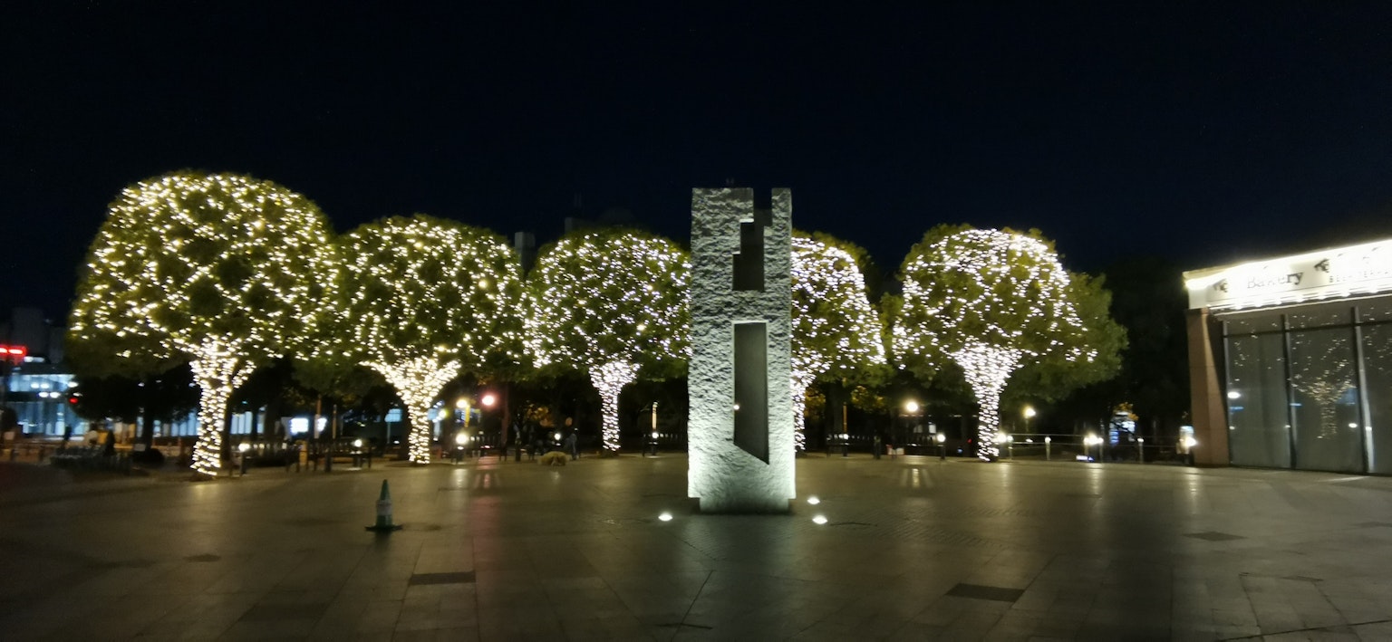 Decorated trees and central monument in a park at night